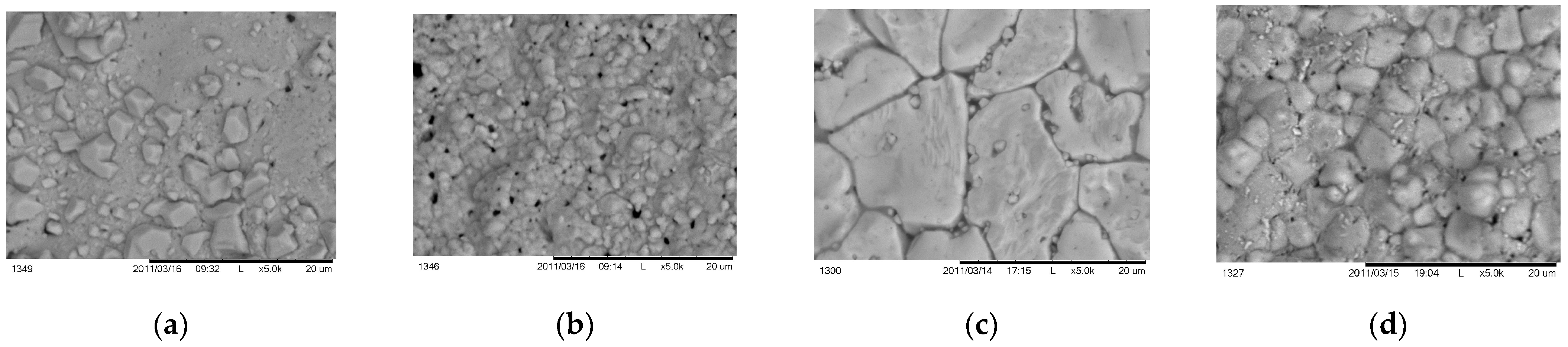 Coatings 13 01449 g013