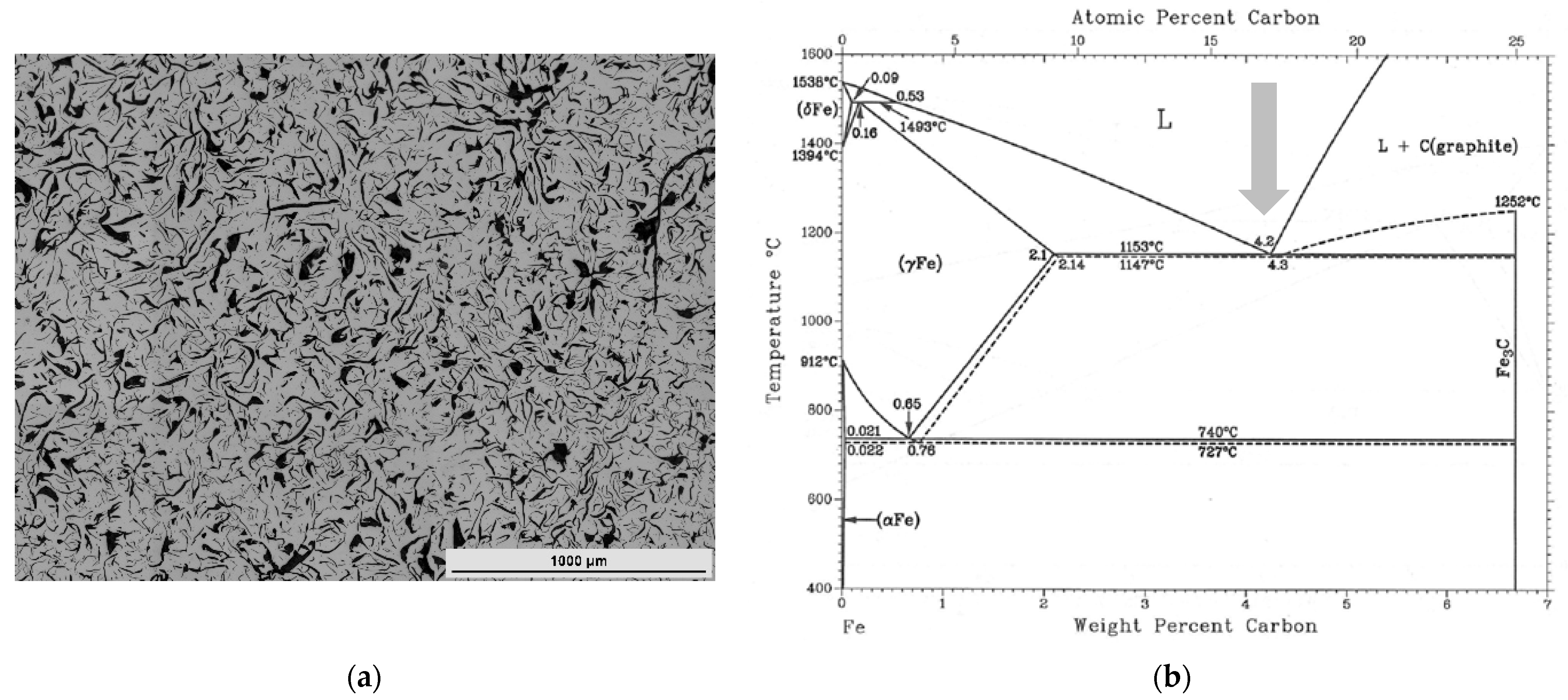 Coatings 13 01450 g001