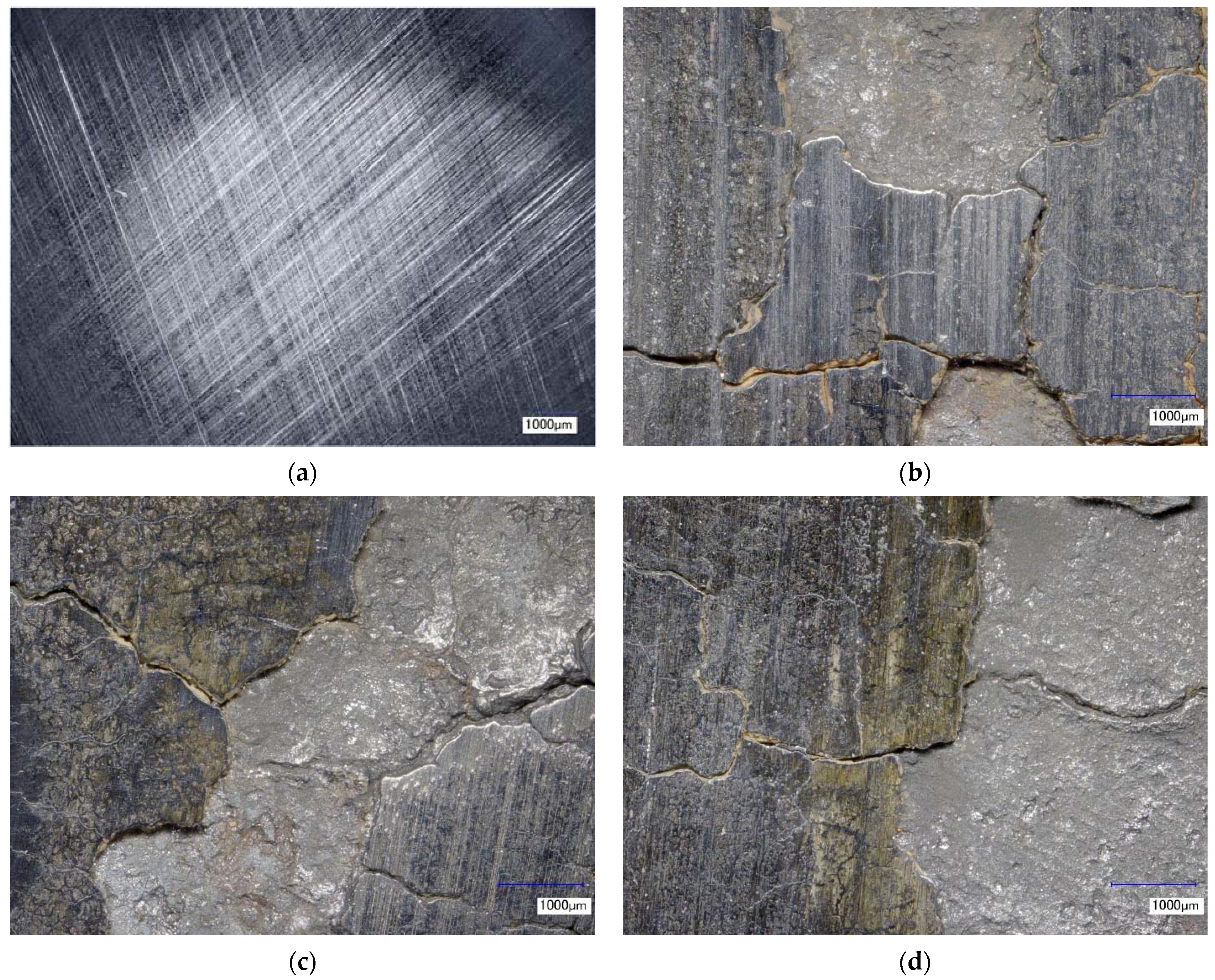 Coatings 13 01450 g003
