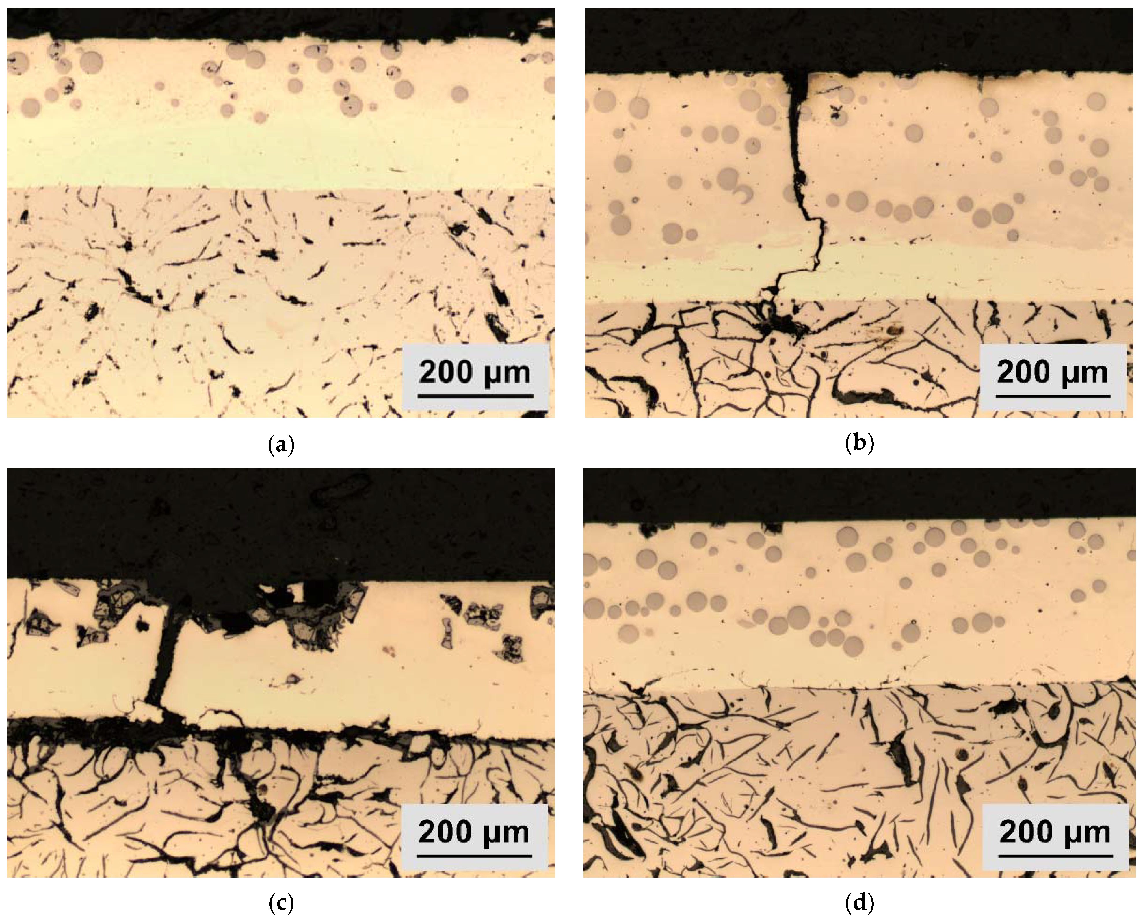Coatings 13 01450 g004