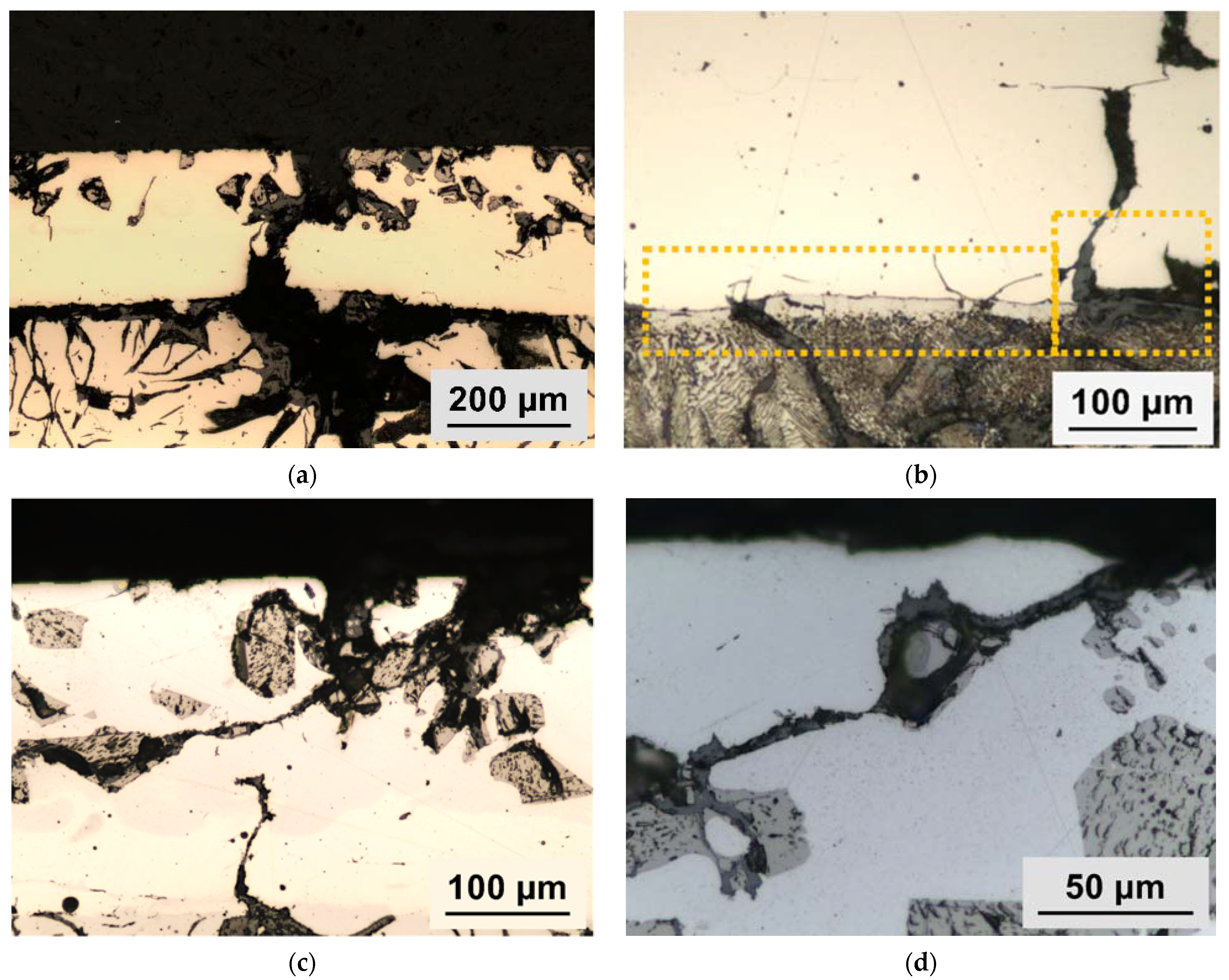 Coatings 13 01450 g005
