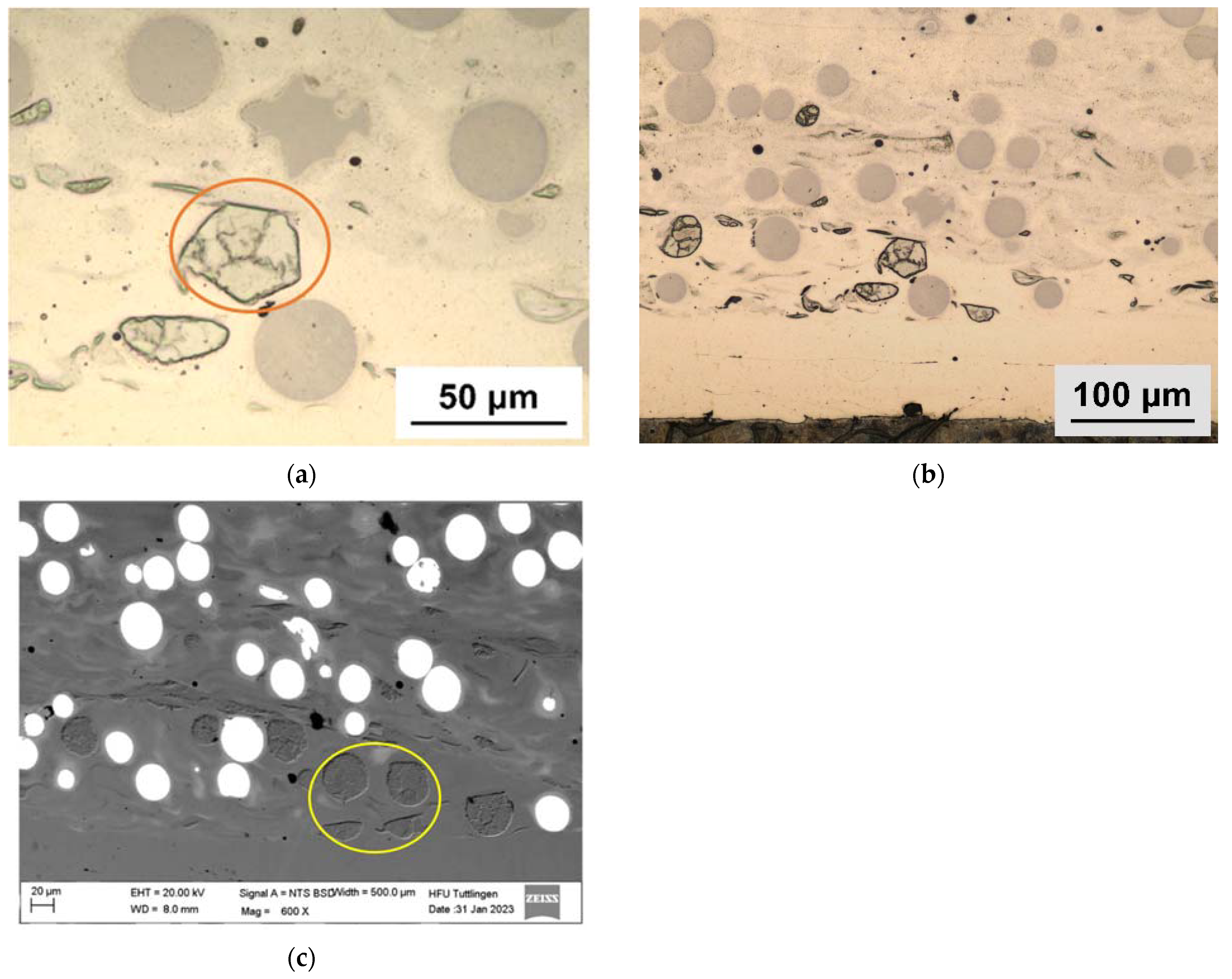 Coatings 13 01450 g006