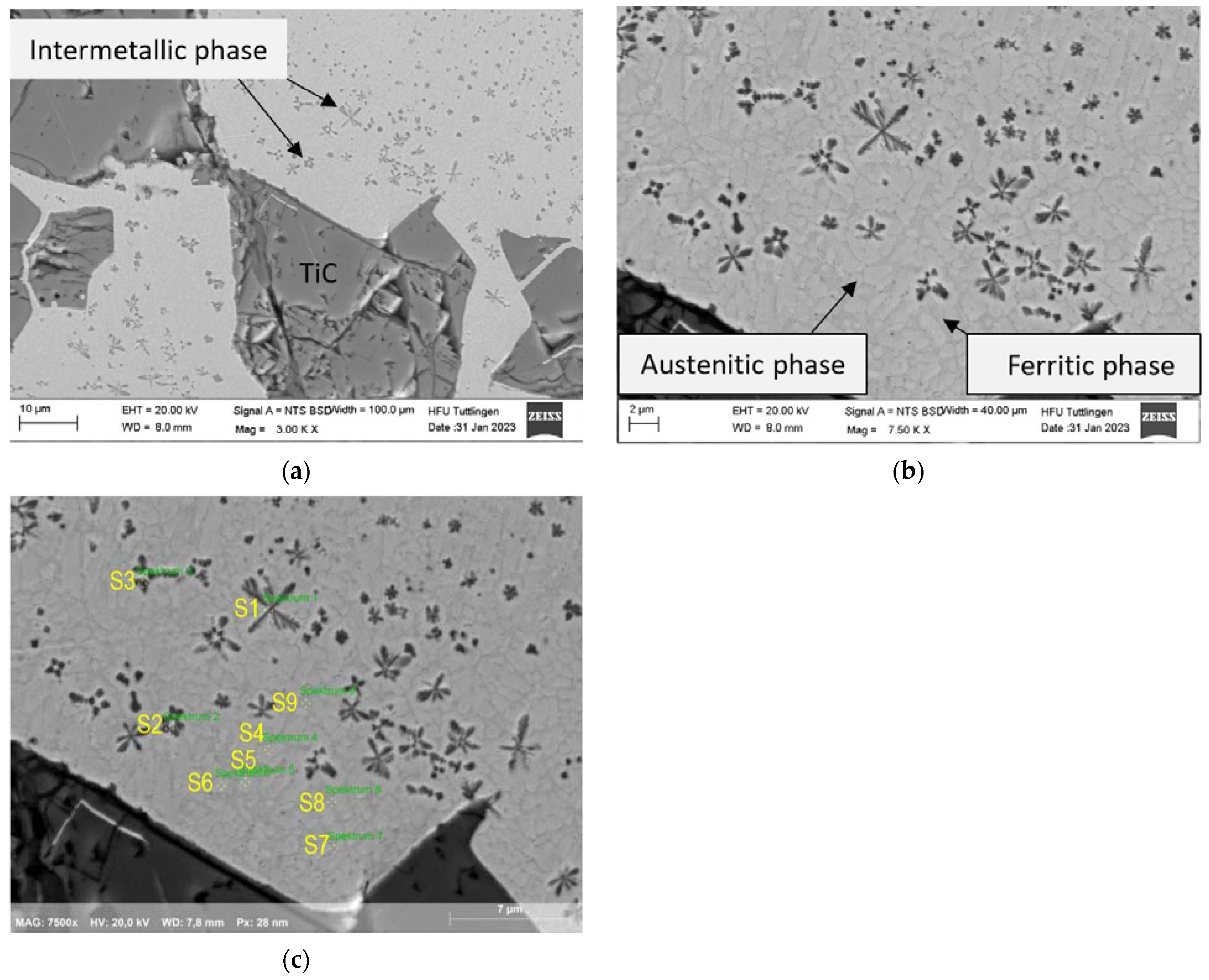 Coatings 13 01450 g007