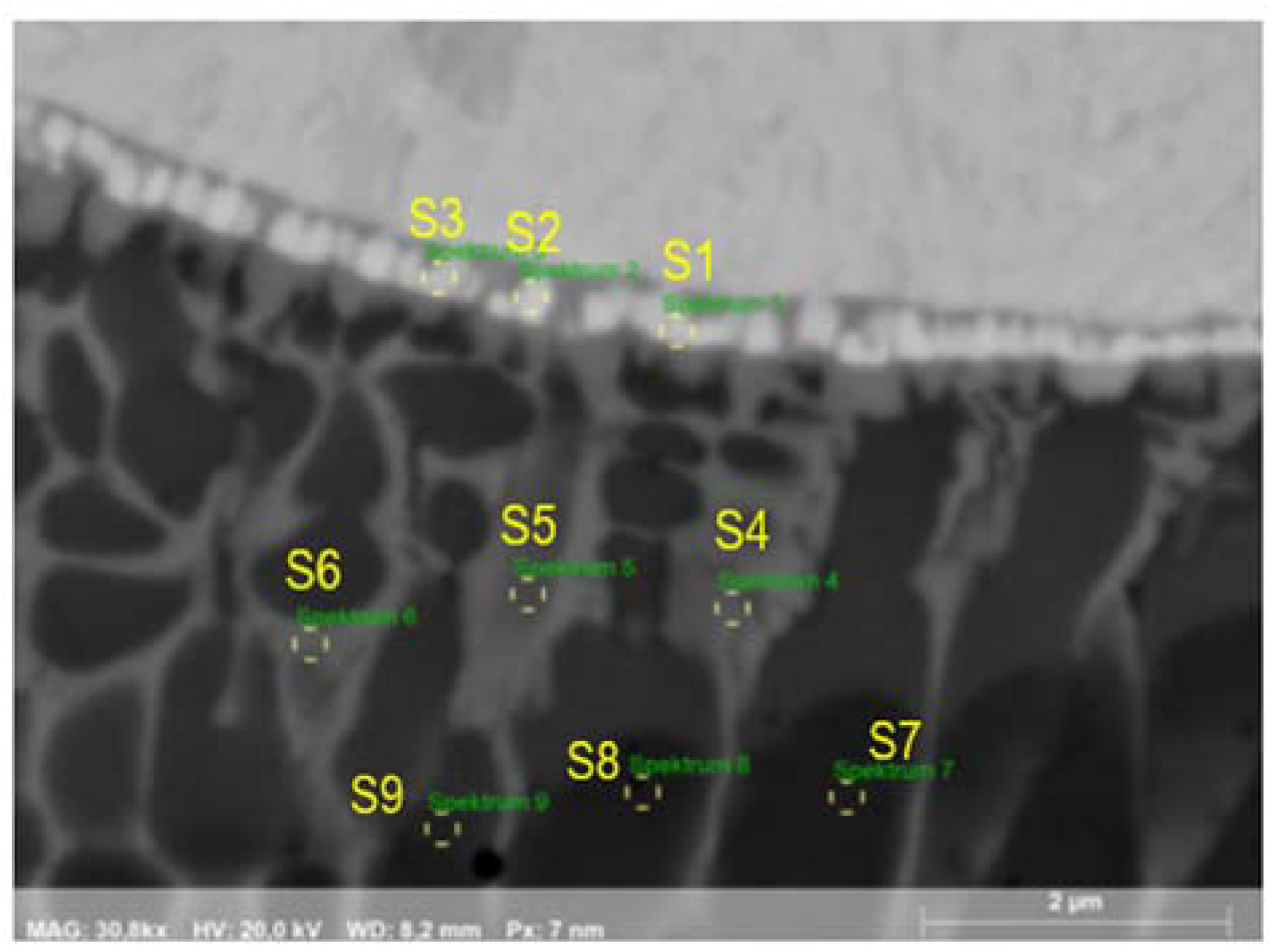 Coatings 13 01450 g010