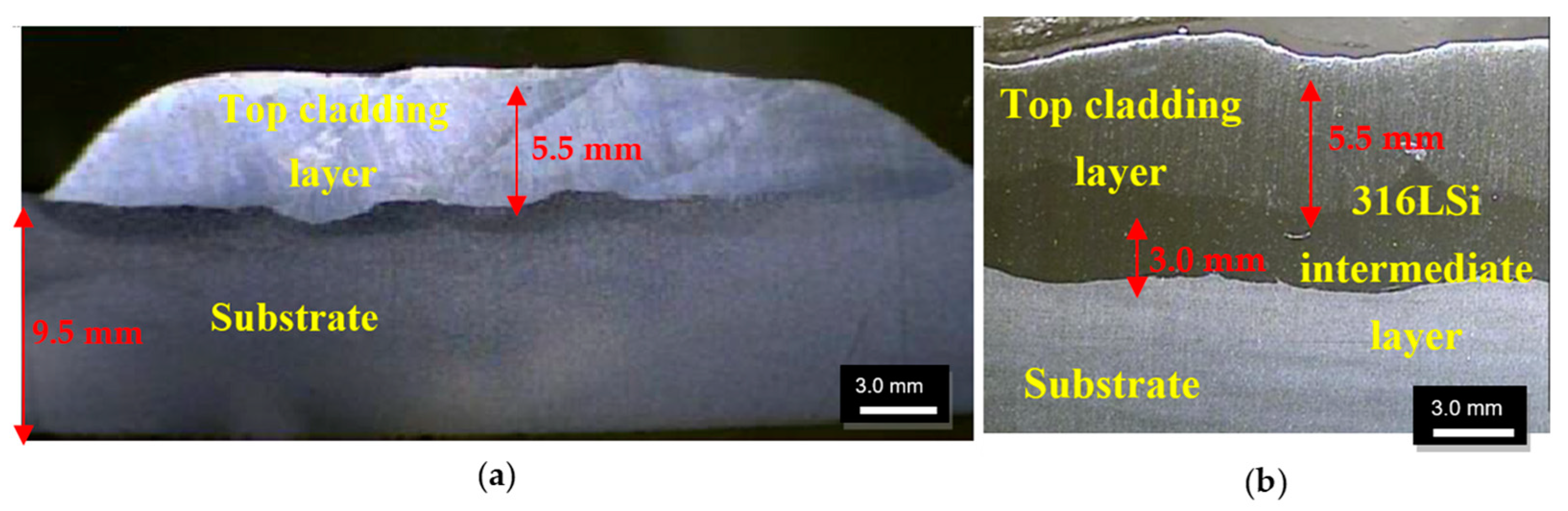 Coatings 13 01454 g002 Coatings 13 01454 g002