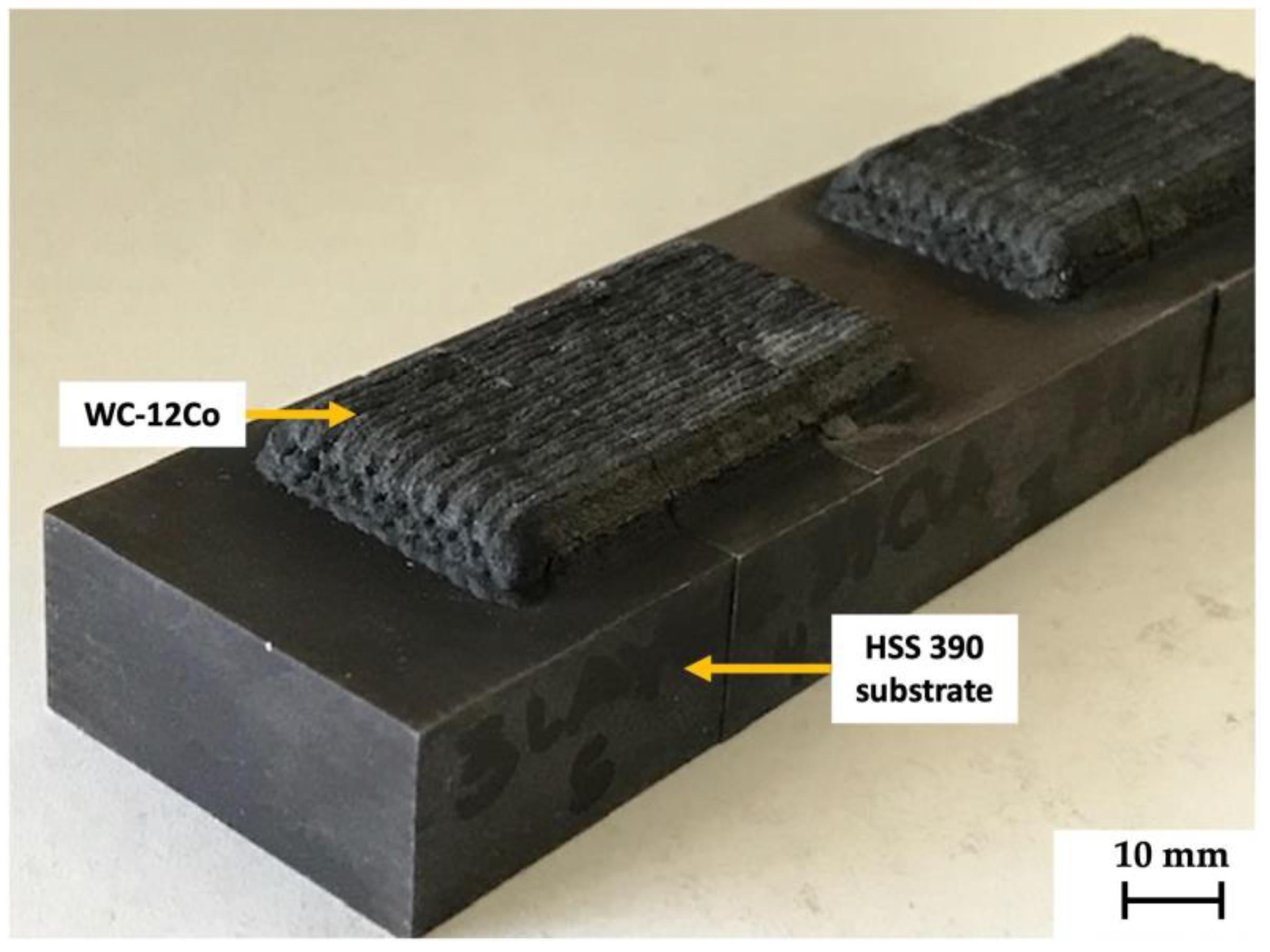 Coatings 13 01459 g001