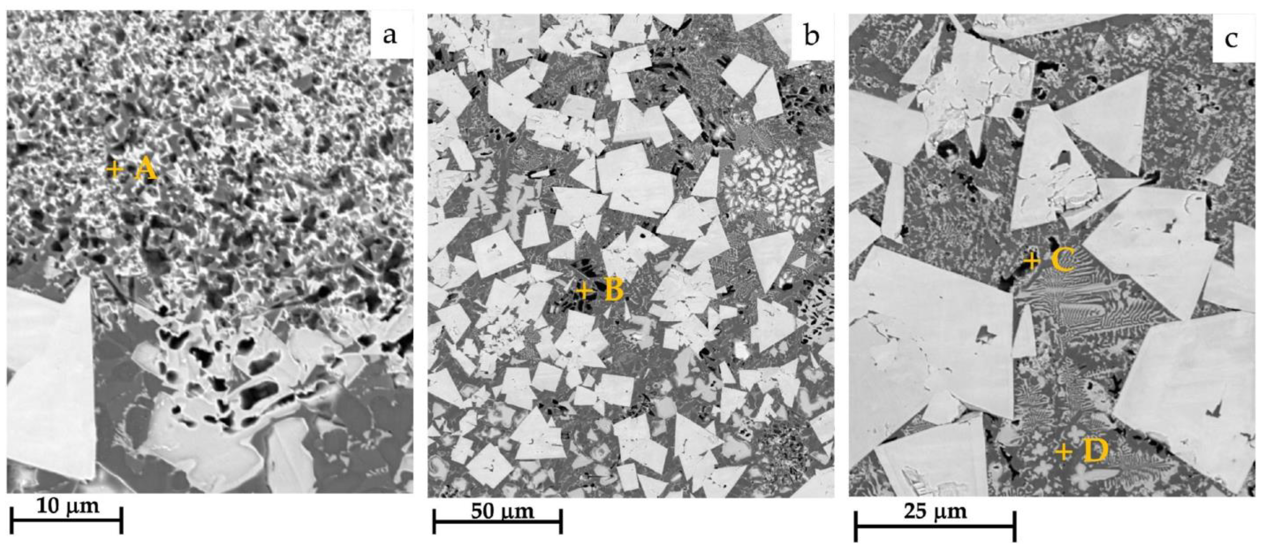 Coatings 13 01459 g014