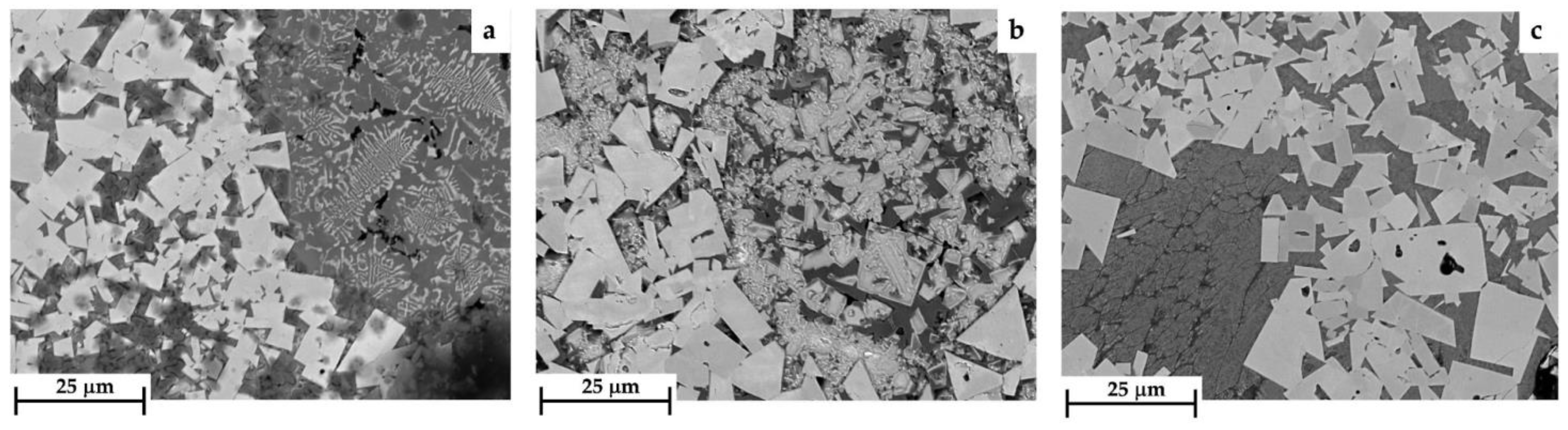 Coatings 13 01459 g016