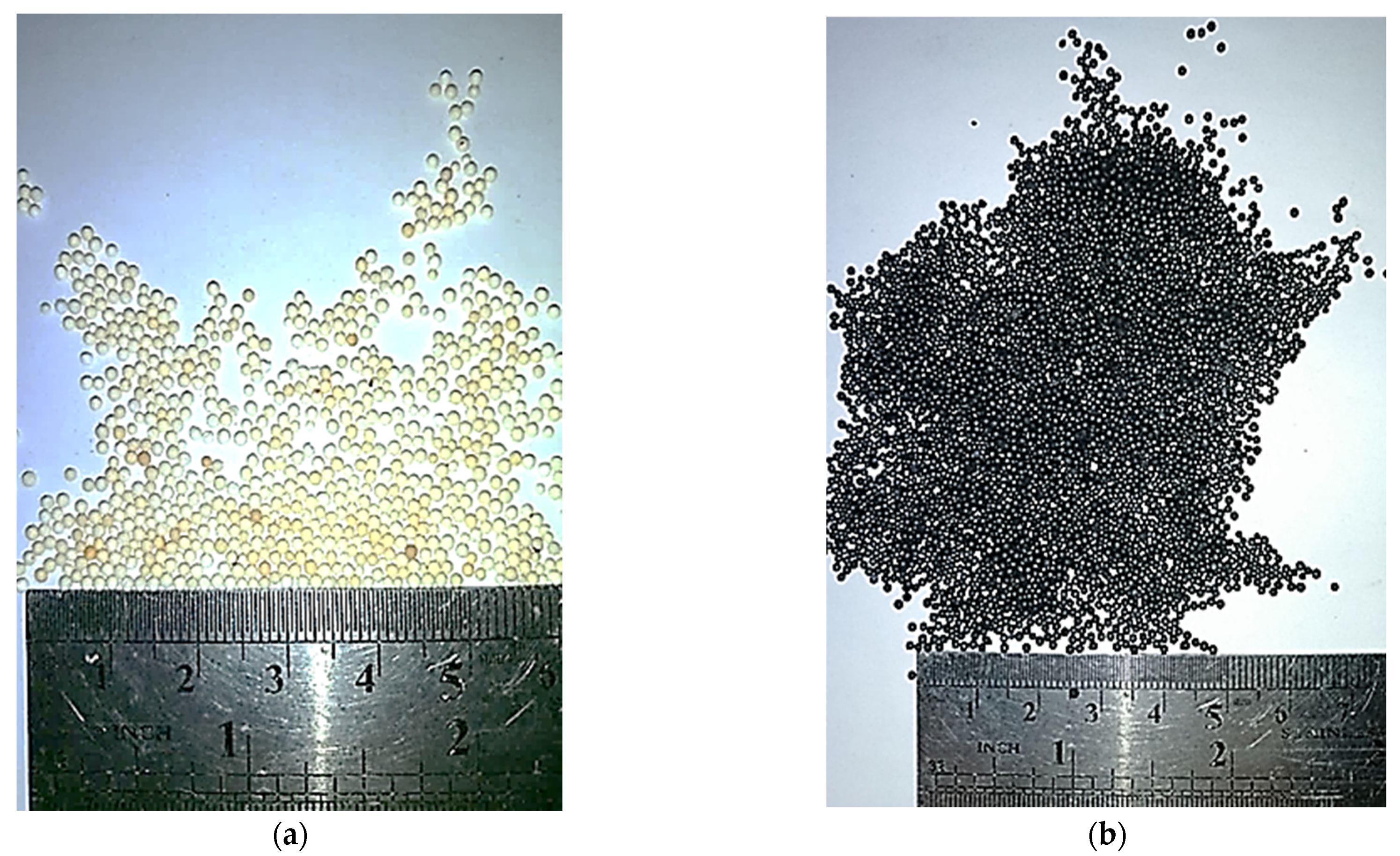 Coatings 13 01462 g007