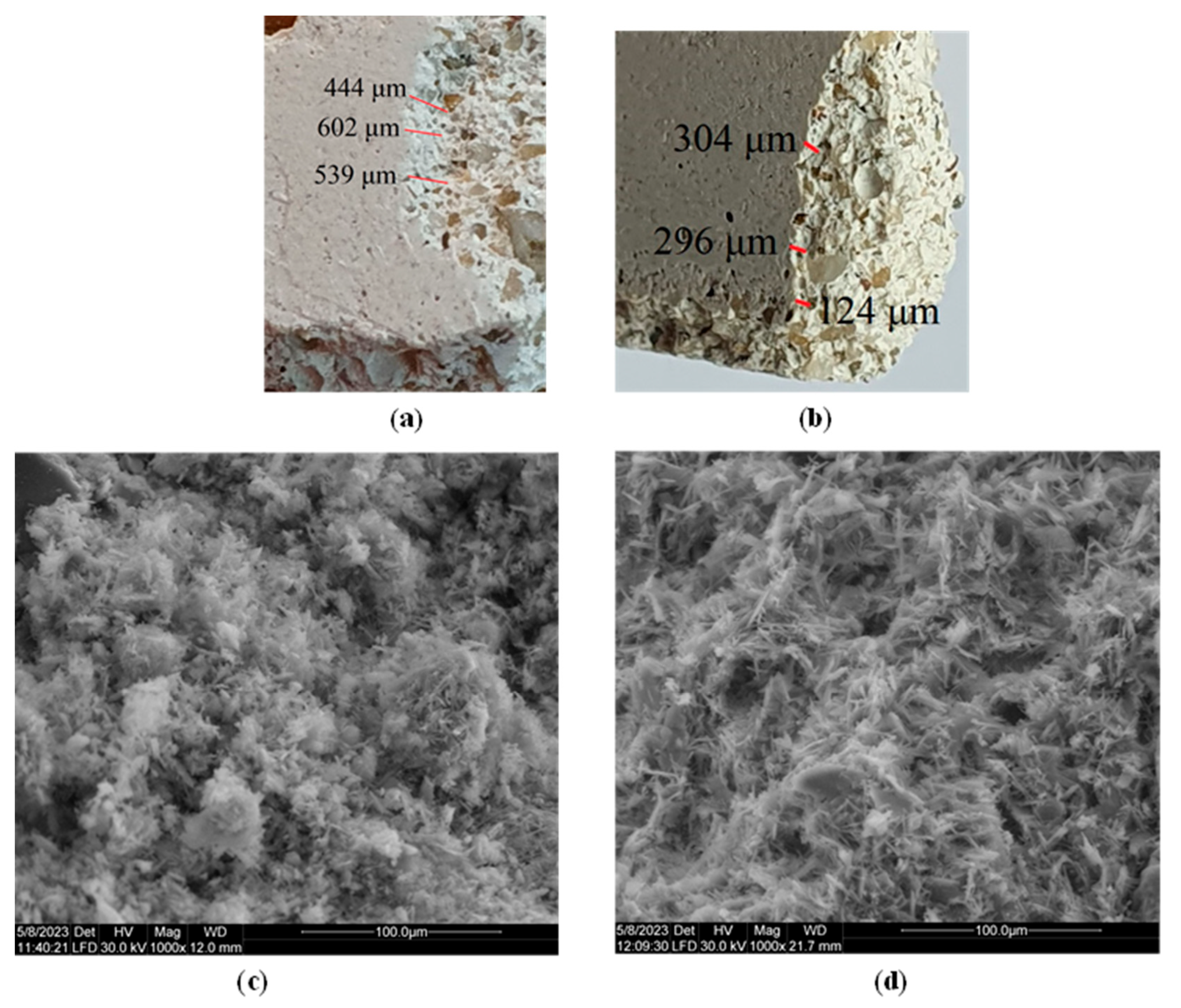 Coatings 13 01469 g005