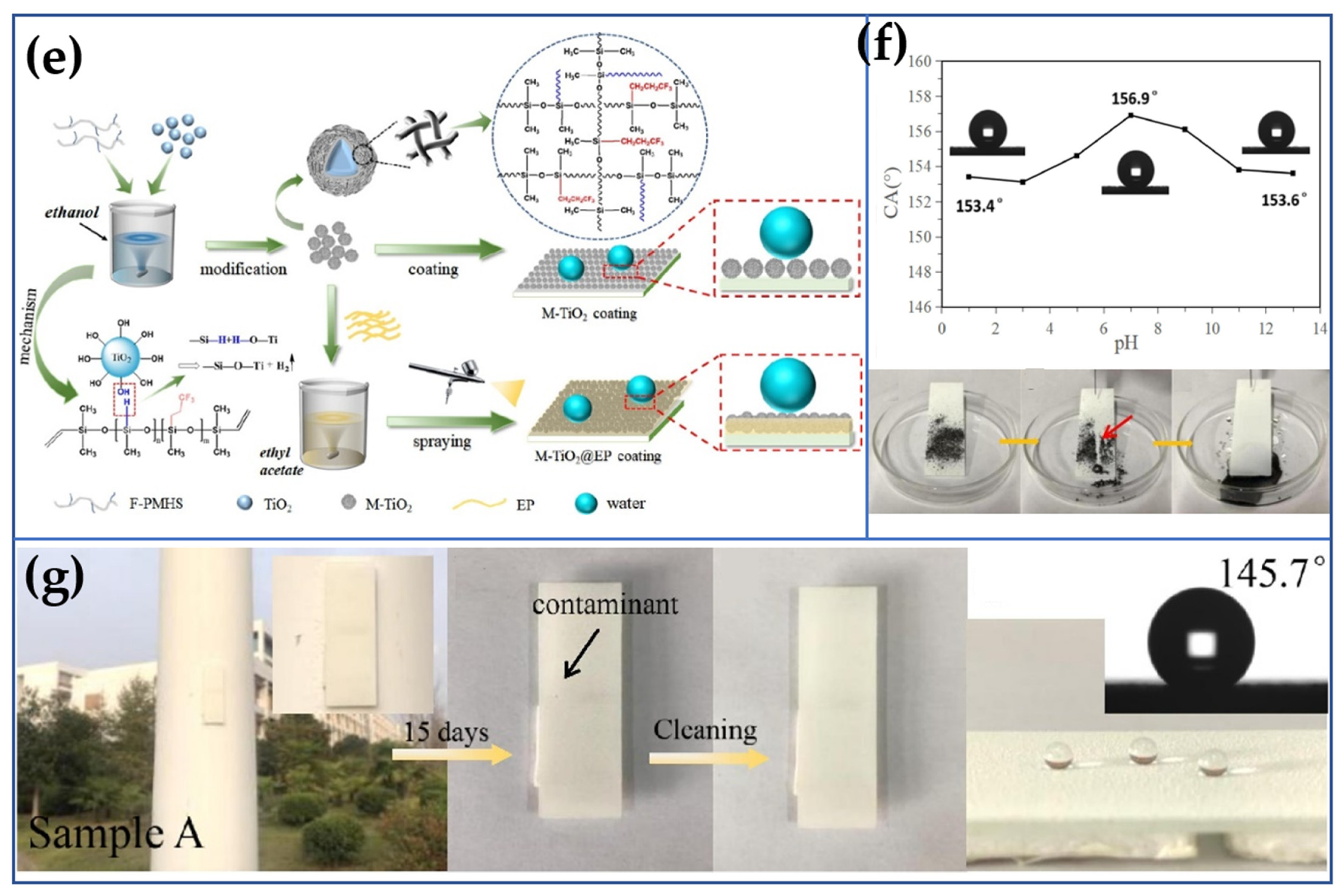 Coatings 13 01472 g011b