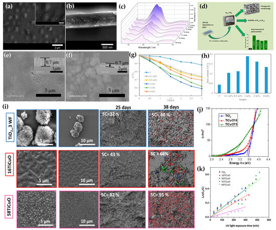Coatings 13 01472 g020