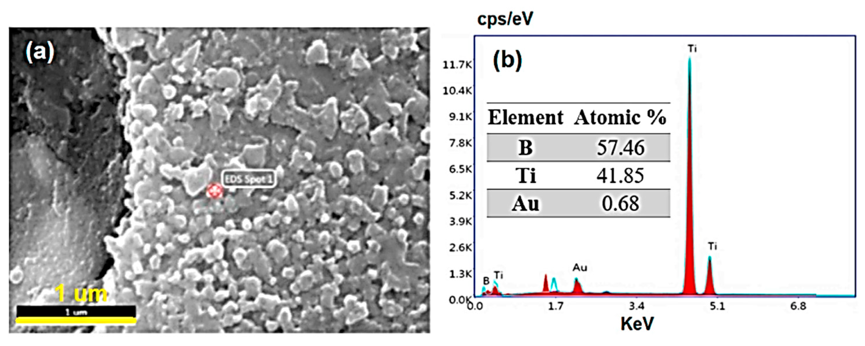 Coatings 13 01473 g003