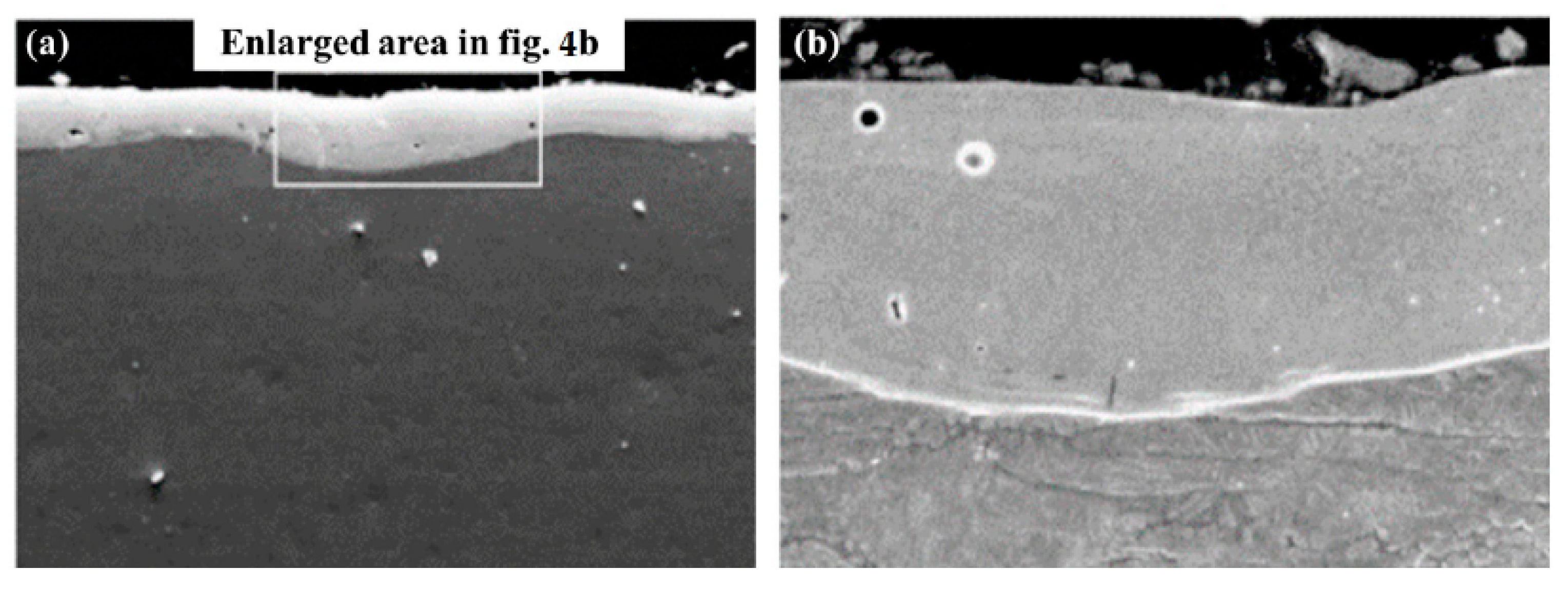 Coatings 13 01473 g004