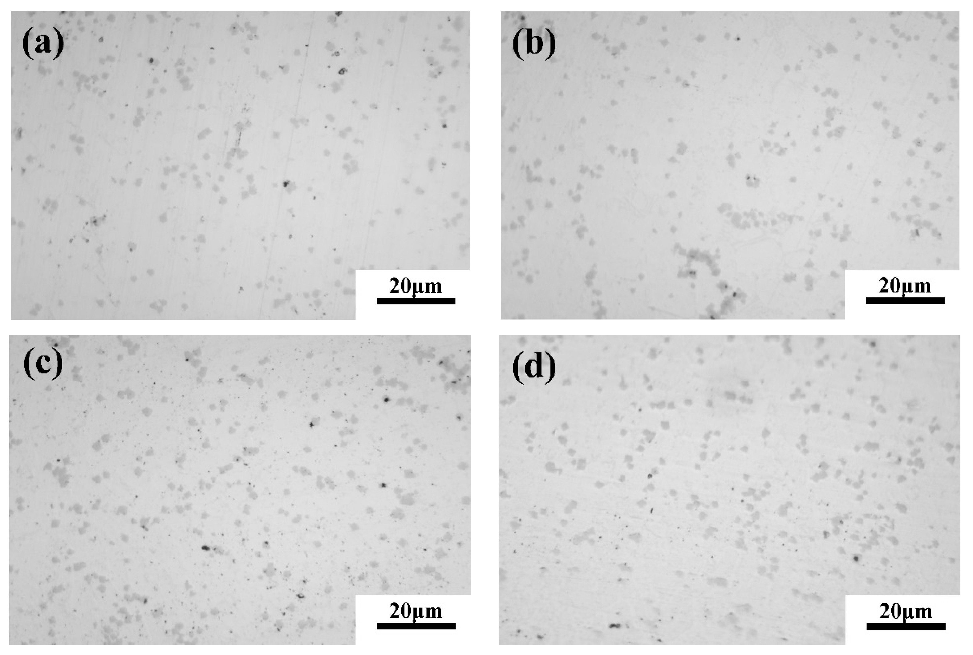 Coatings 13 01474 g007