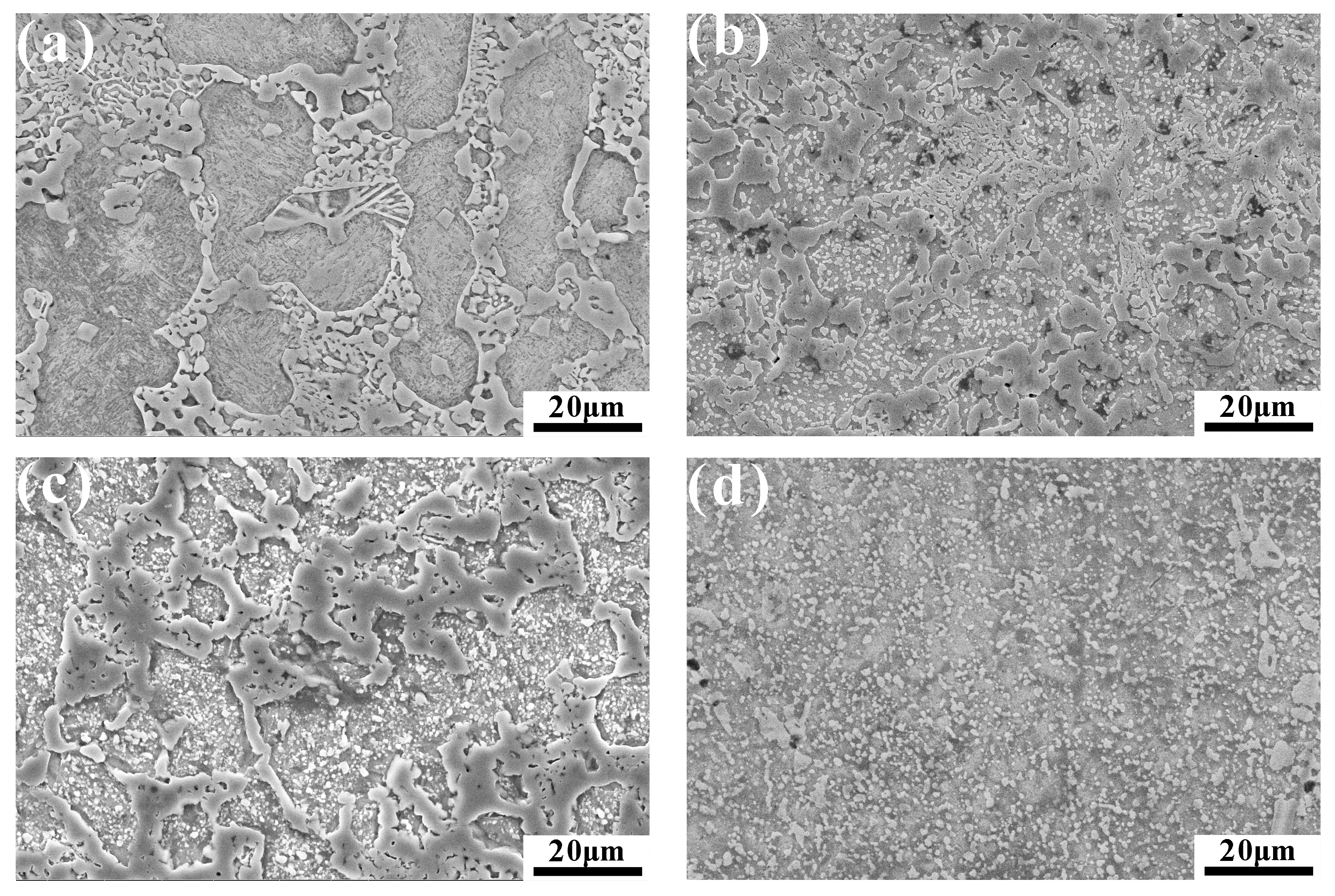 Coatings 13 01474 g008
