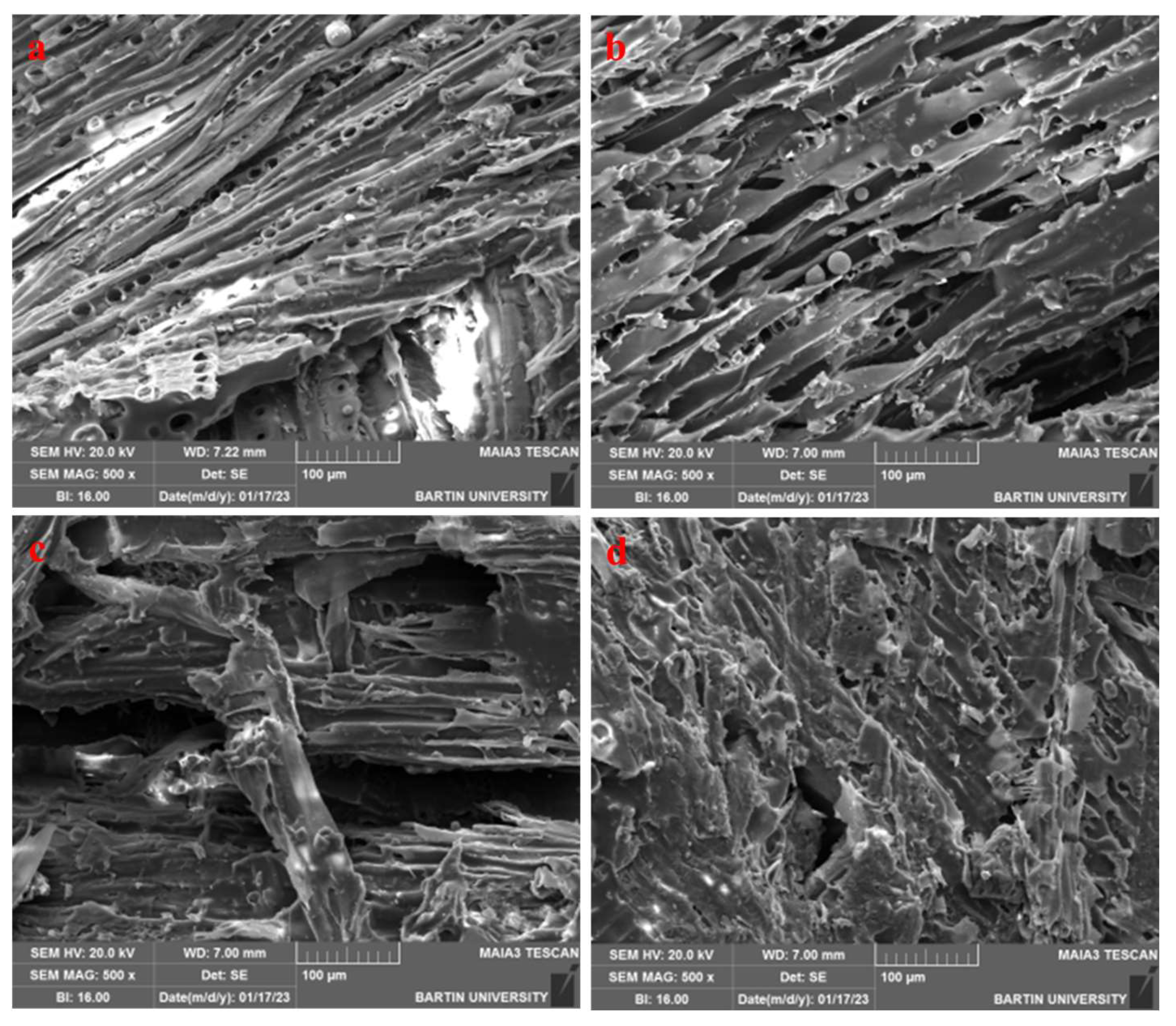 Coatings 13 01476 g003