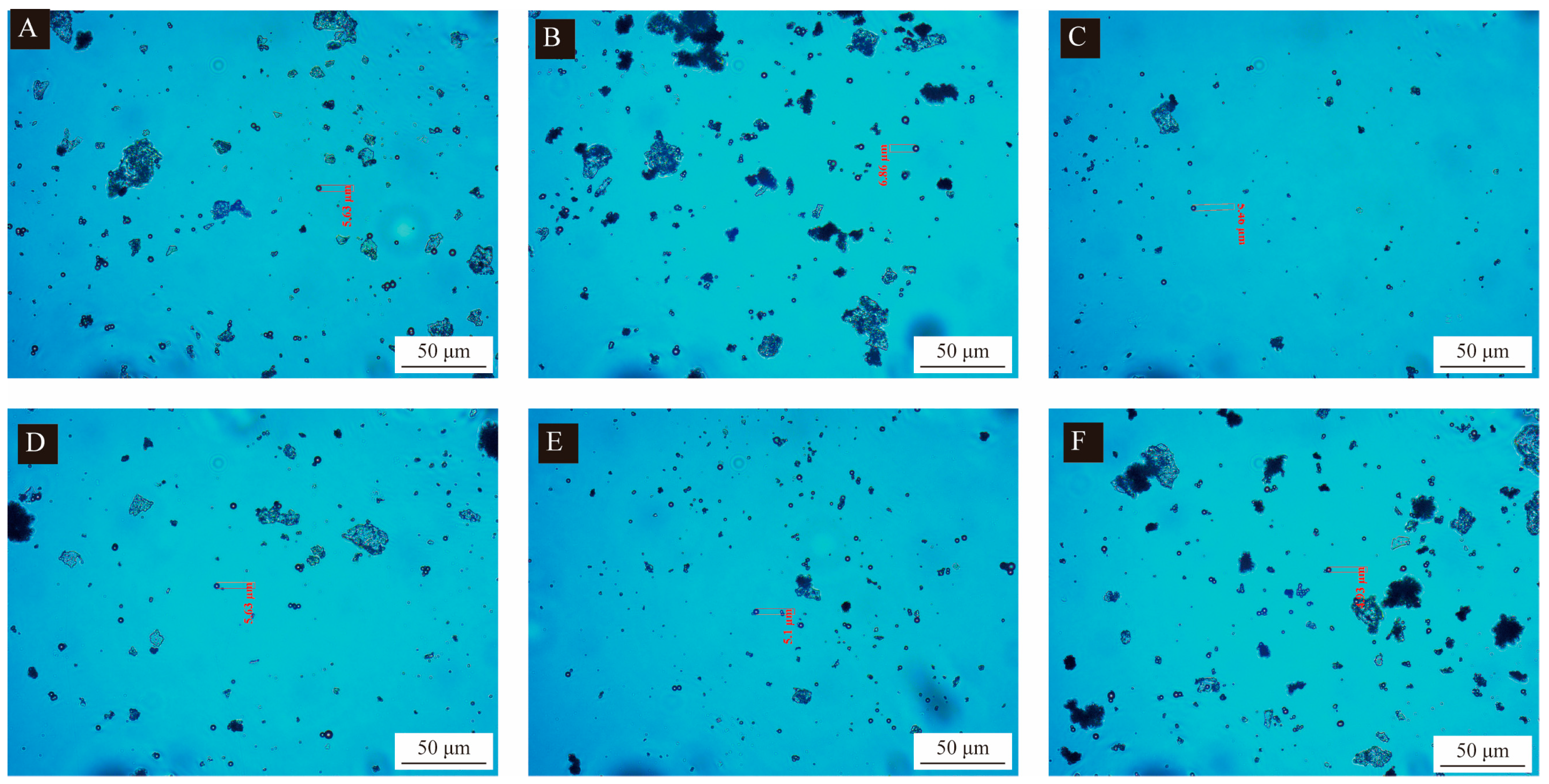 Coatings 13 01478 g004