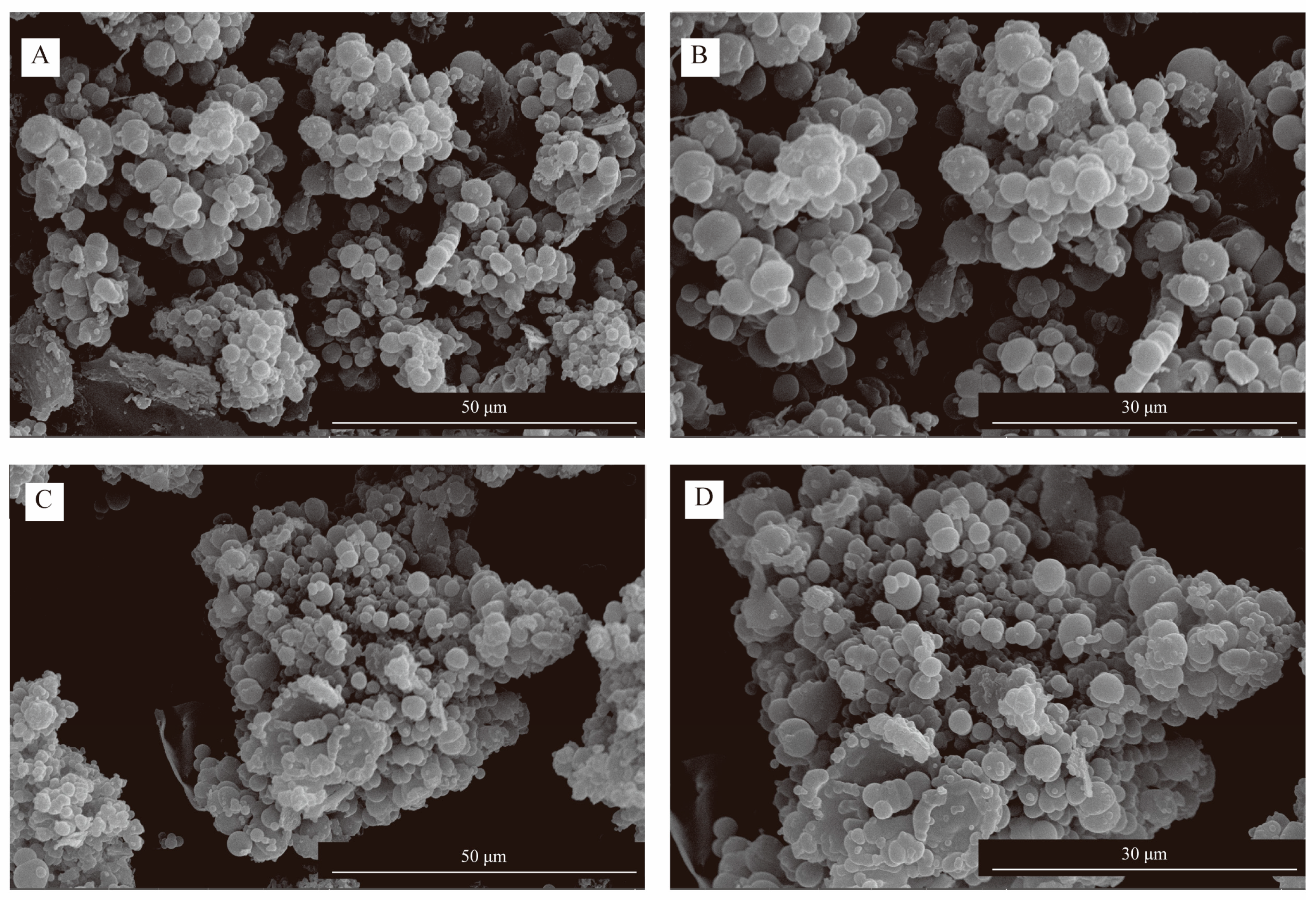 Coatings 13 01478 g005