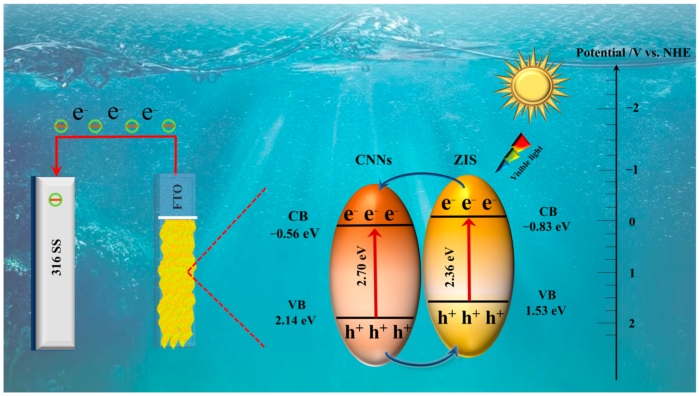 Coatings 13 01479 g012