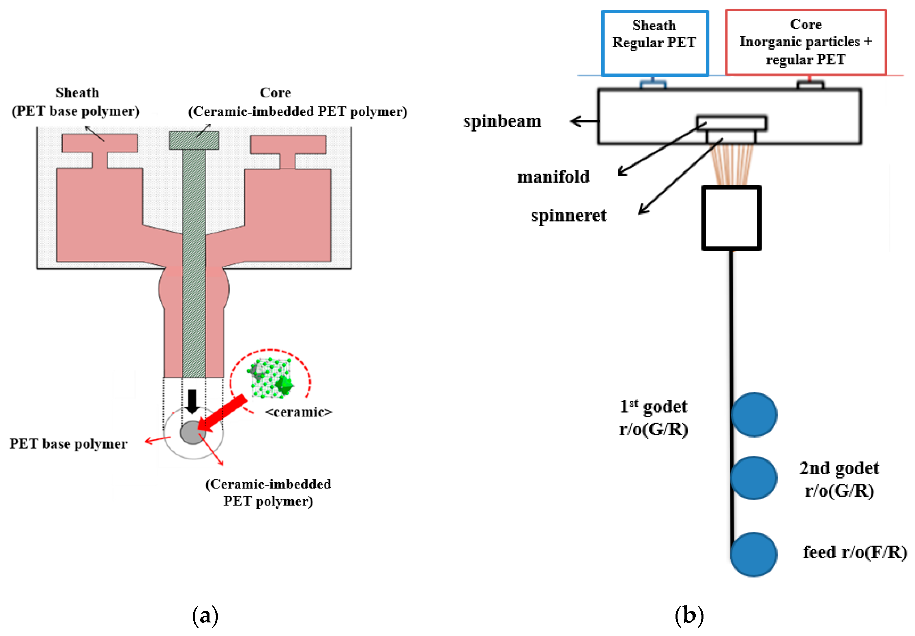 Coatings 13 01481 g001