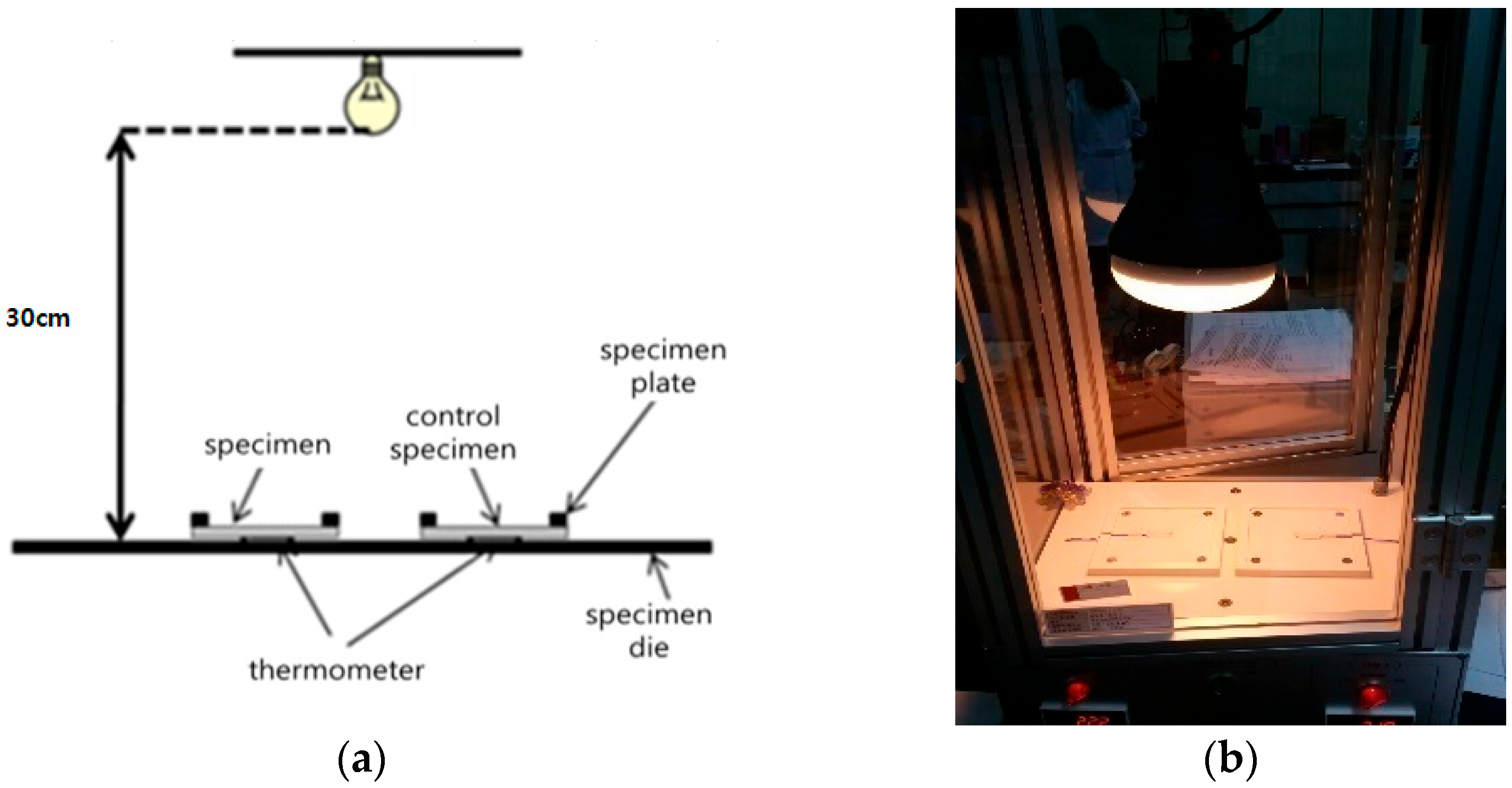 Coatings 13 01481 g002