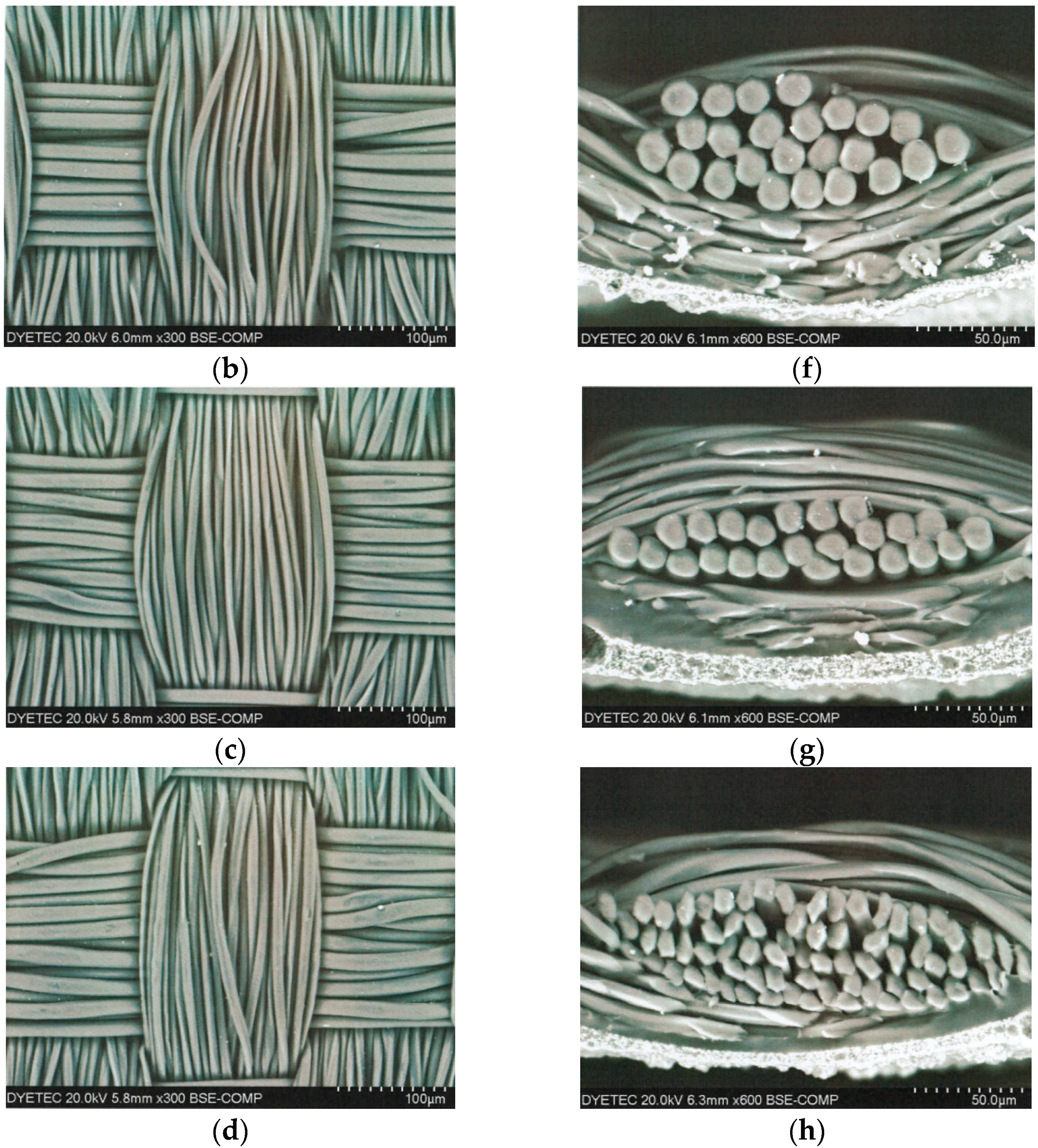 Coatings 13 01481 g009b