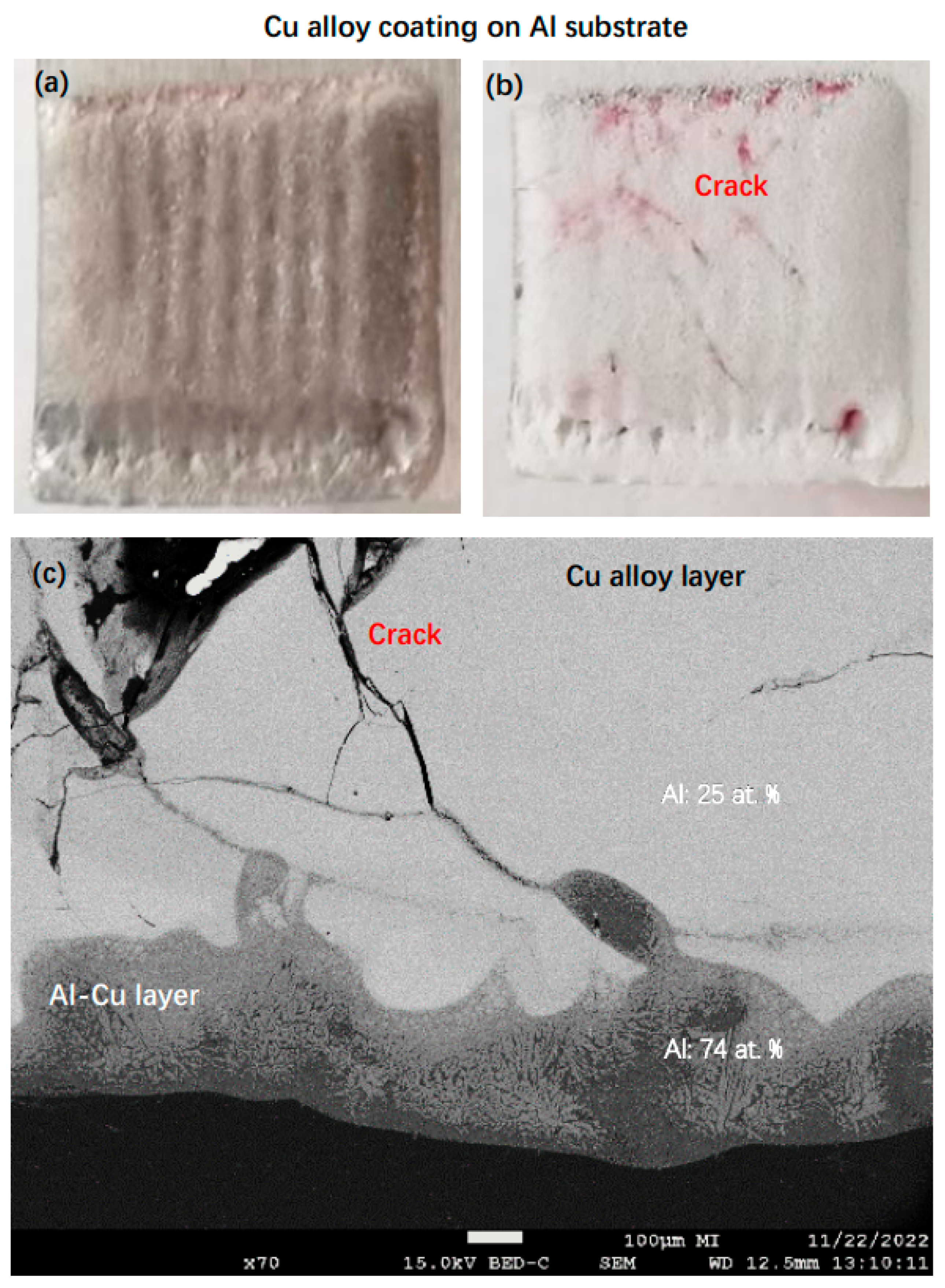Coatings 13 01491 g001a