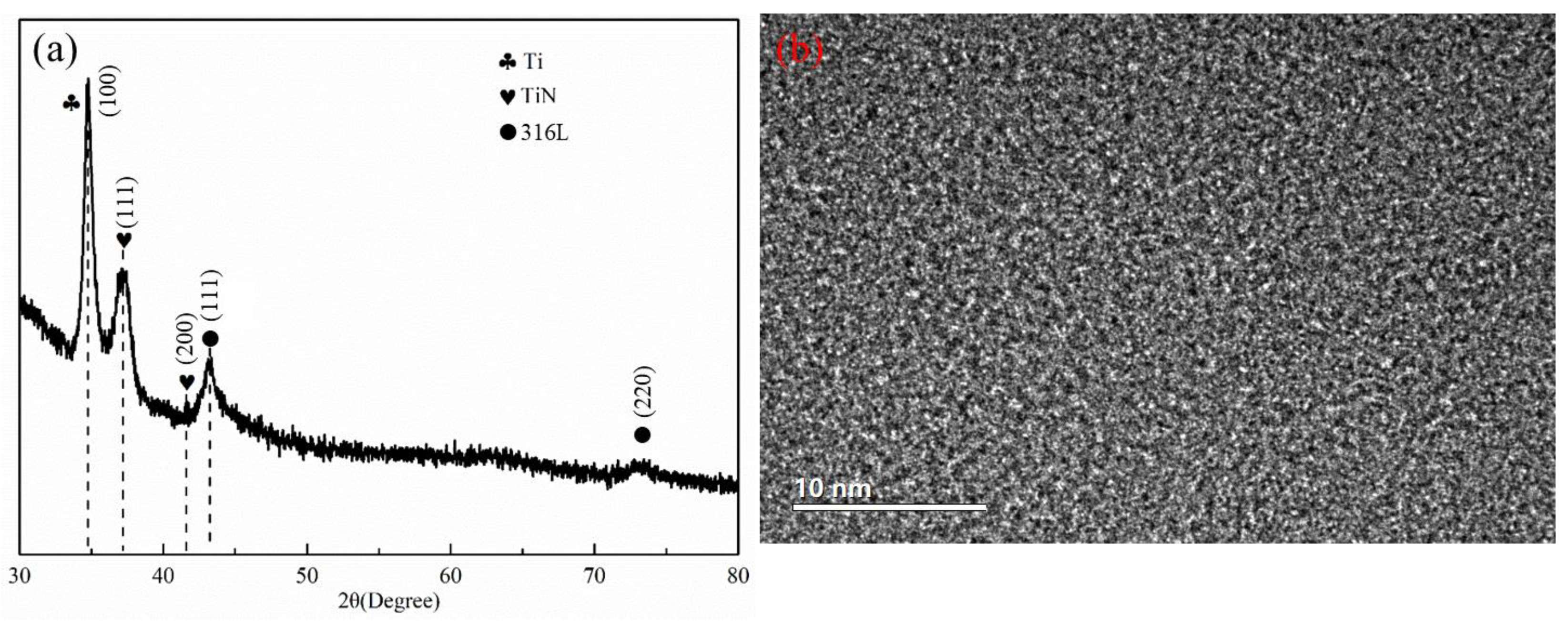 Coatings 13 01494 g004