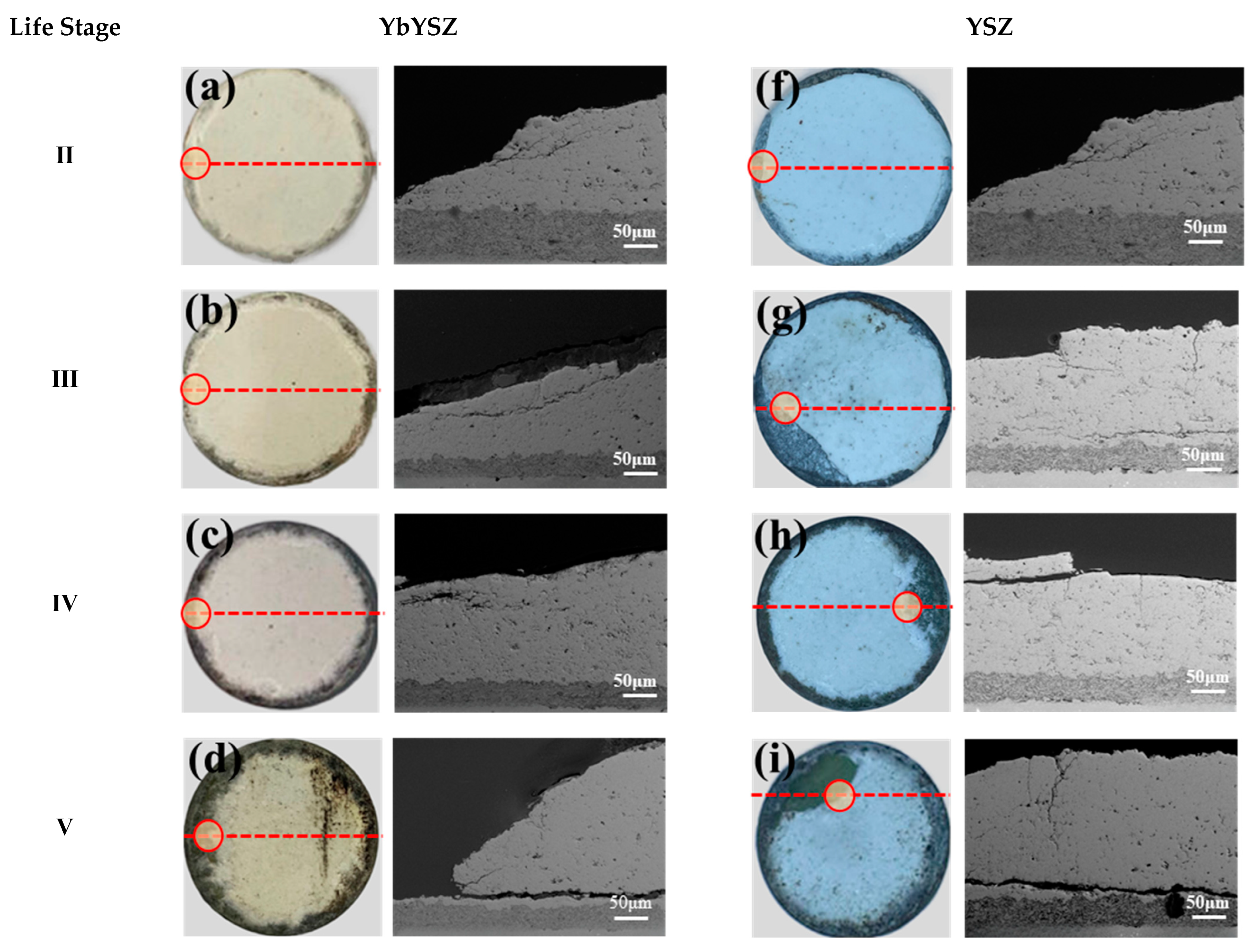 Coatings 13 01495 g004a