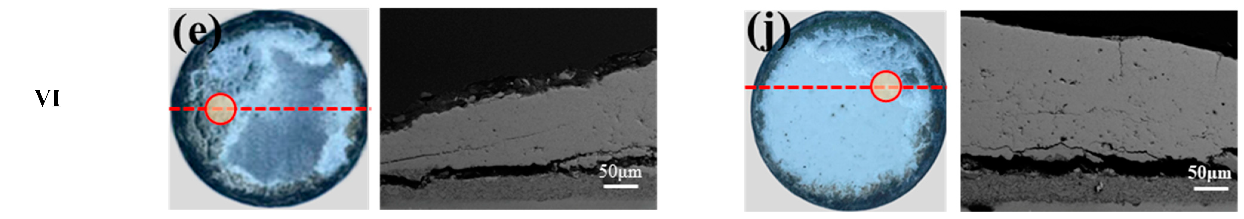 Coatings 13 01495 g004b