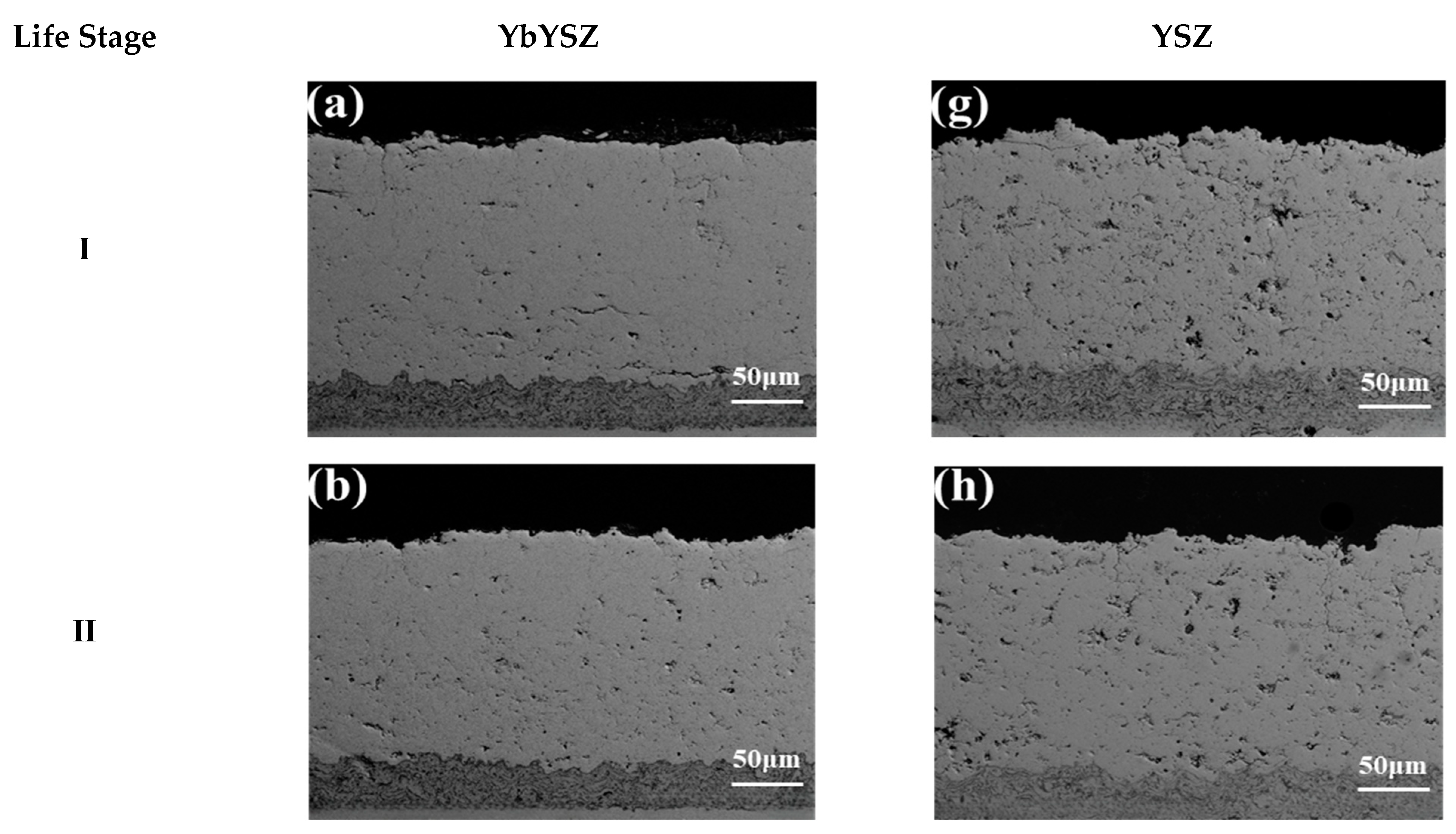 Coatings 13 01495 g005a
