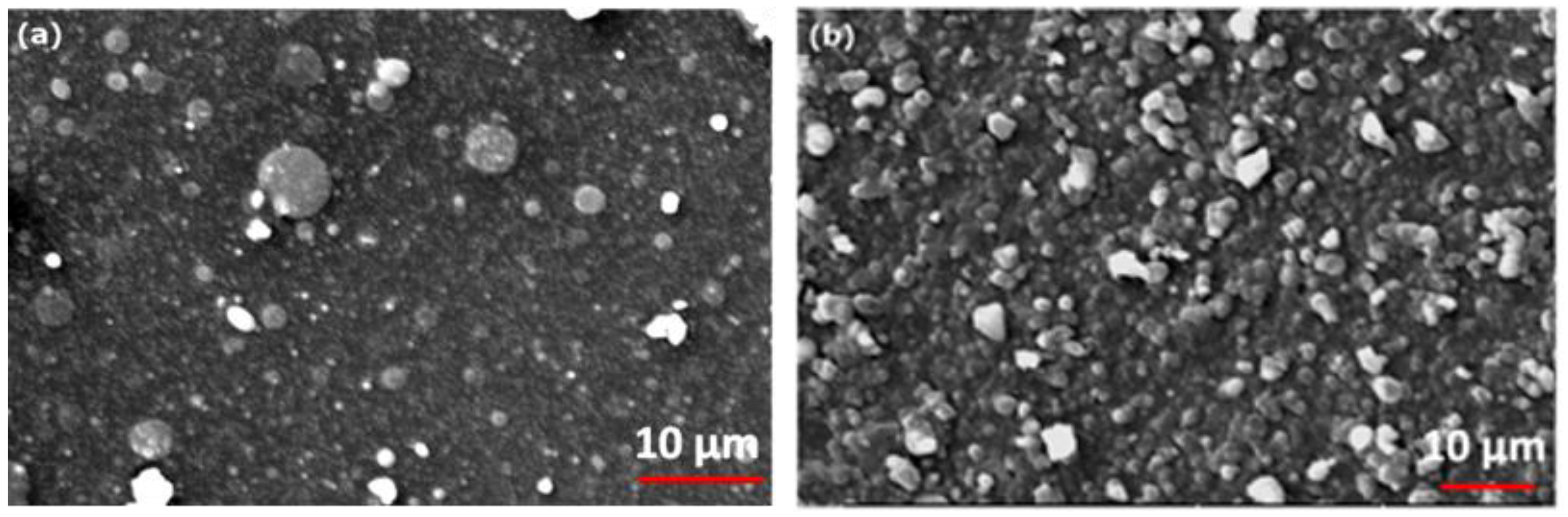 Coatings 13 01496 g002