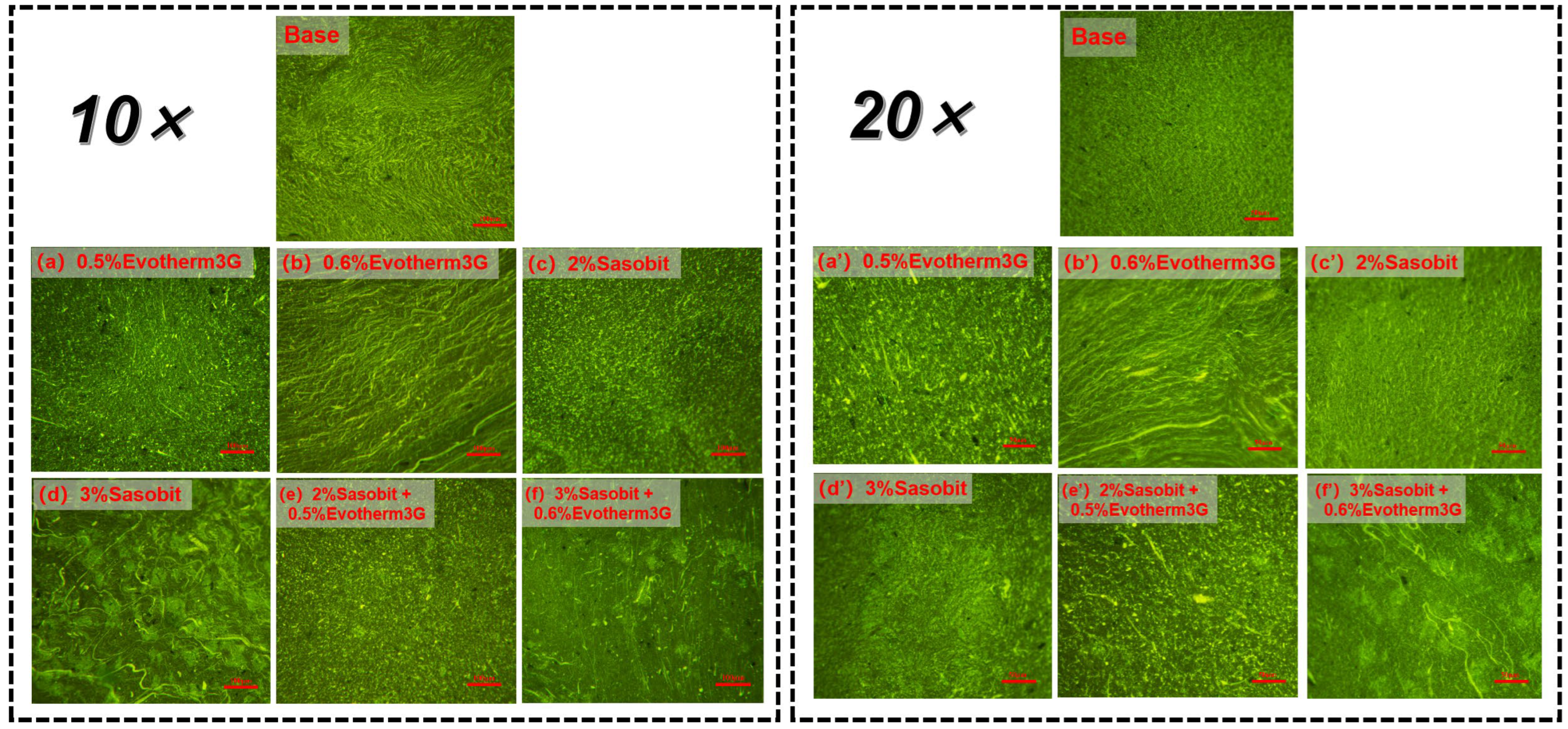 Coatings 13 01497 g004