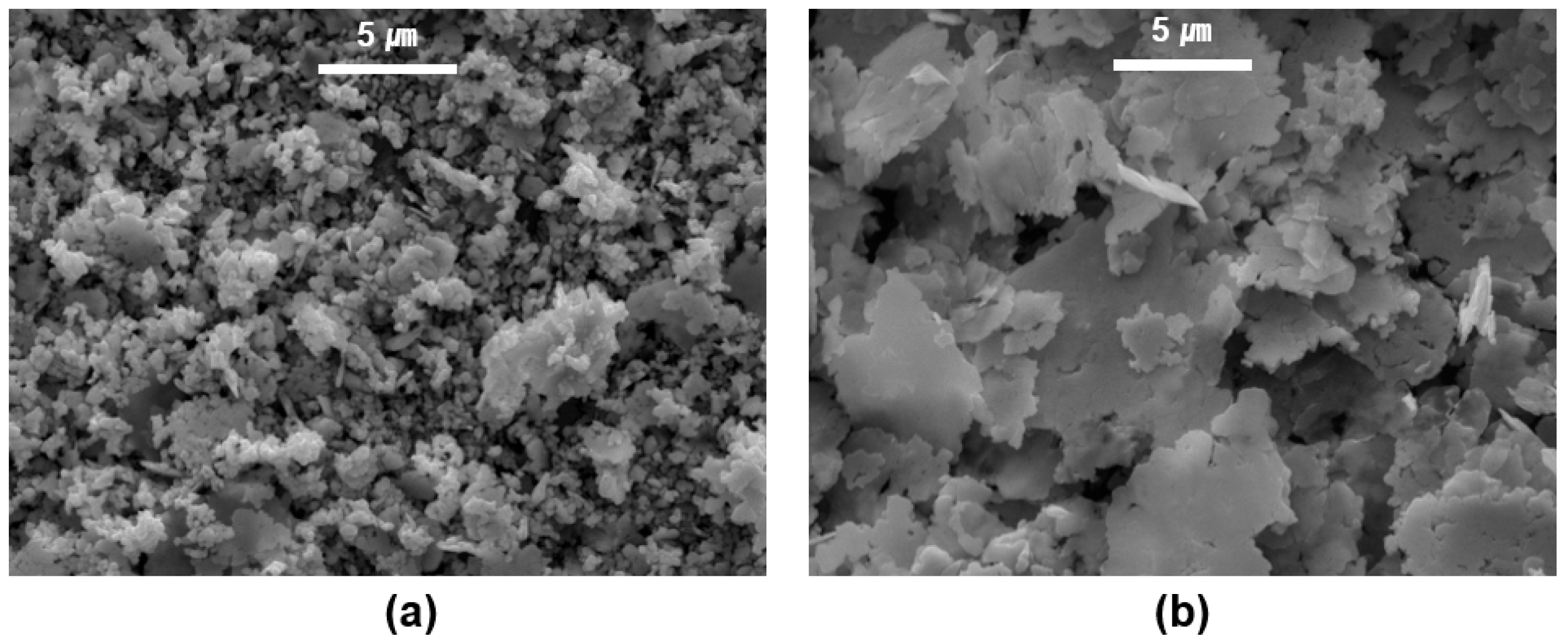 Coatings 13 01499 g001