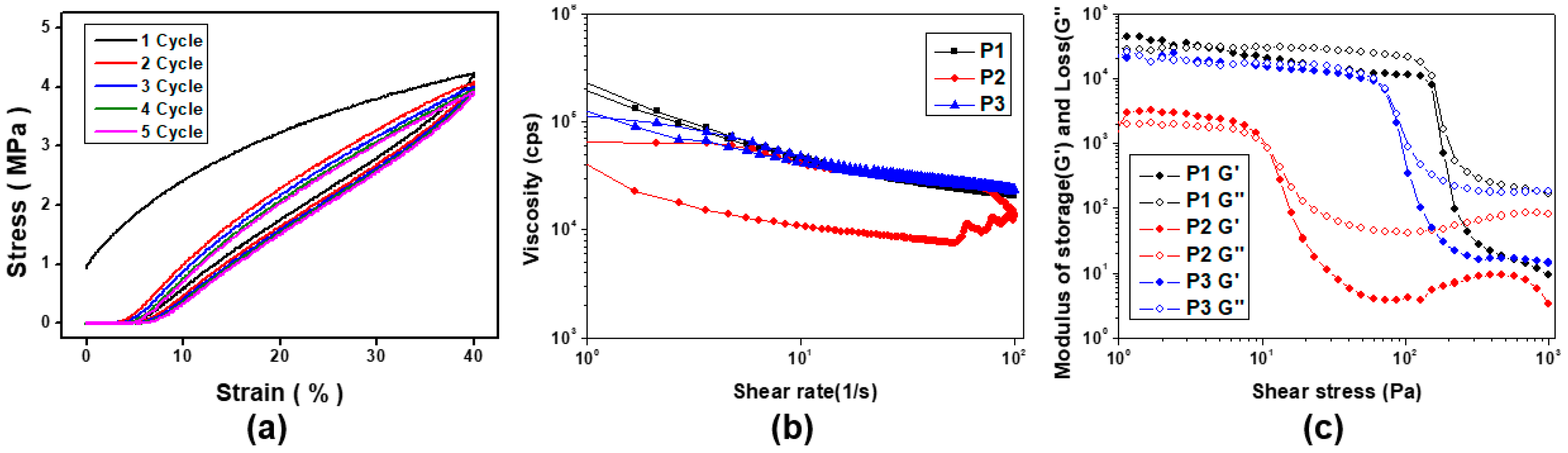 Coatings 13 01499 g003