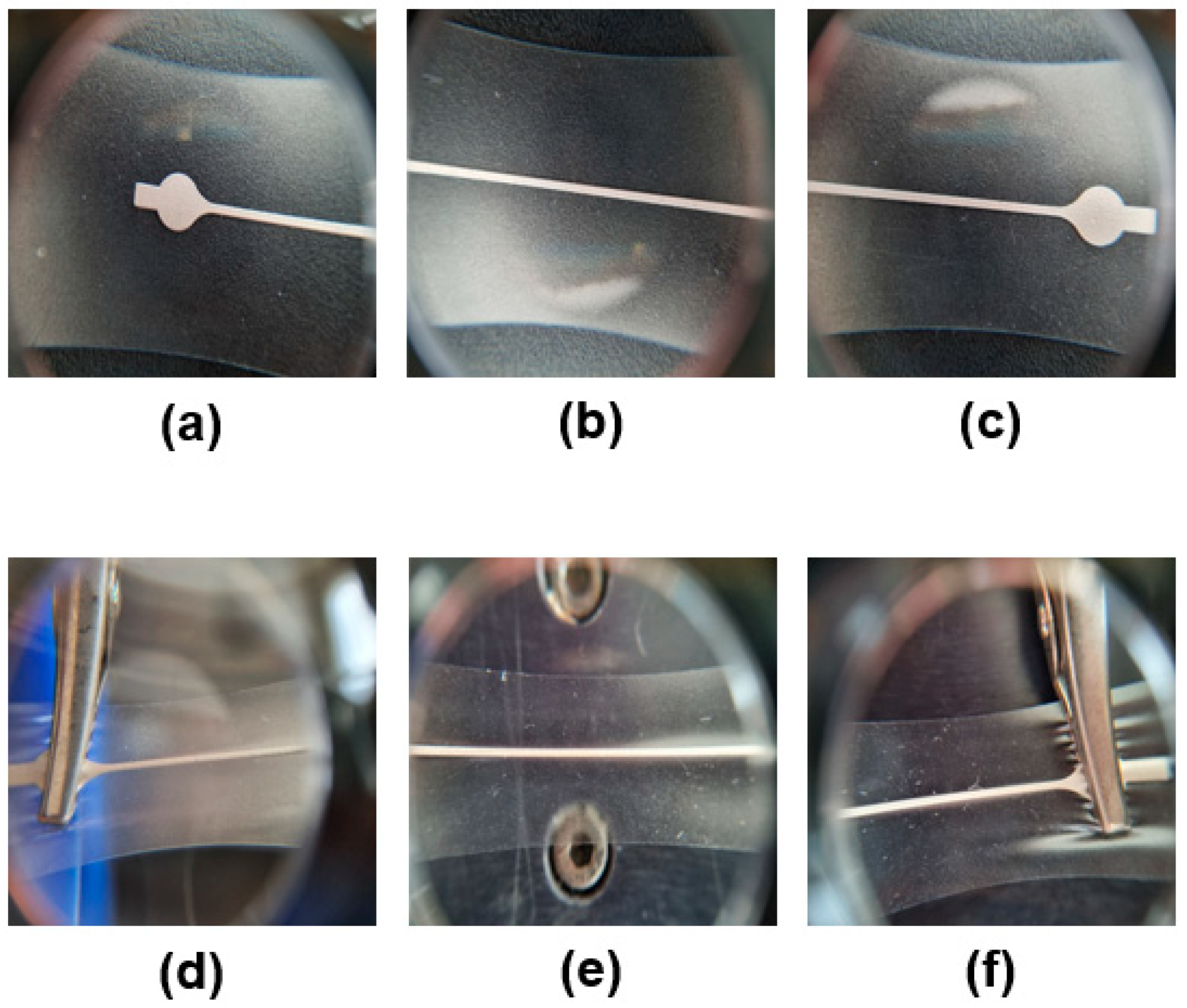 Coatings 13 01499 g005