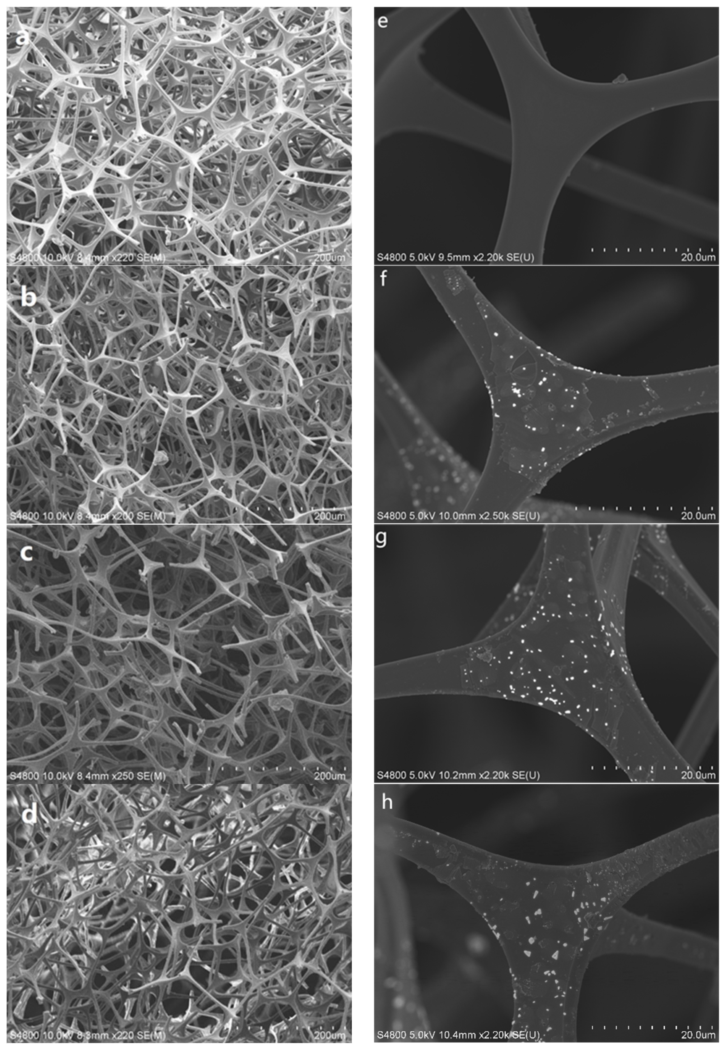 Coatings 13 01501 g003