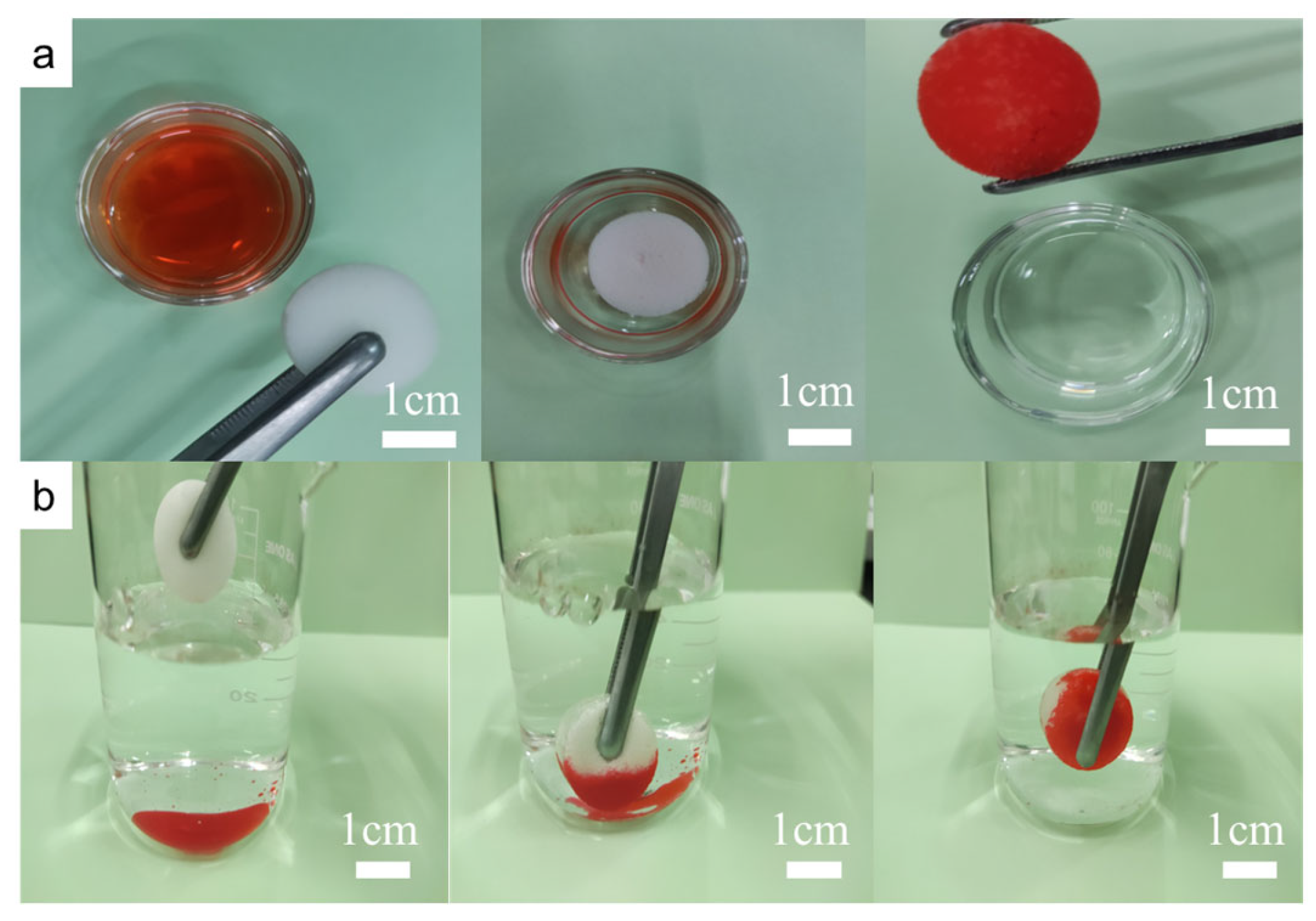 Coatings 13 01501 g006