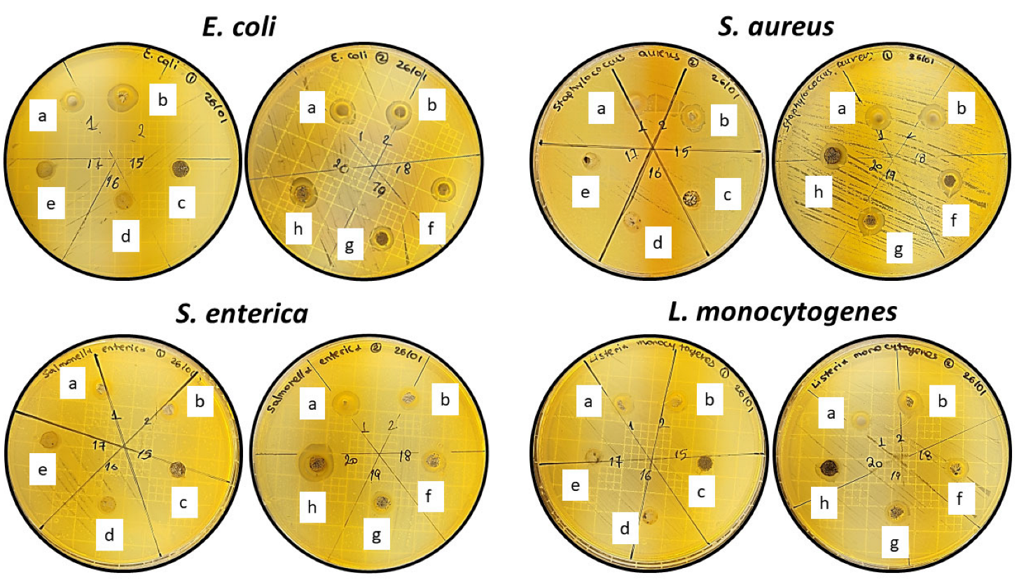 Coatings 13 01503 g006
