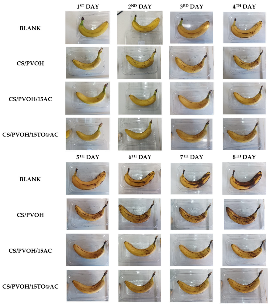 Coatings 13 01503 g007