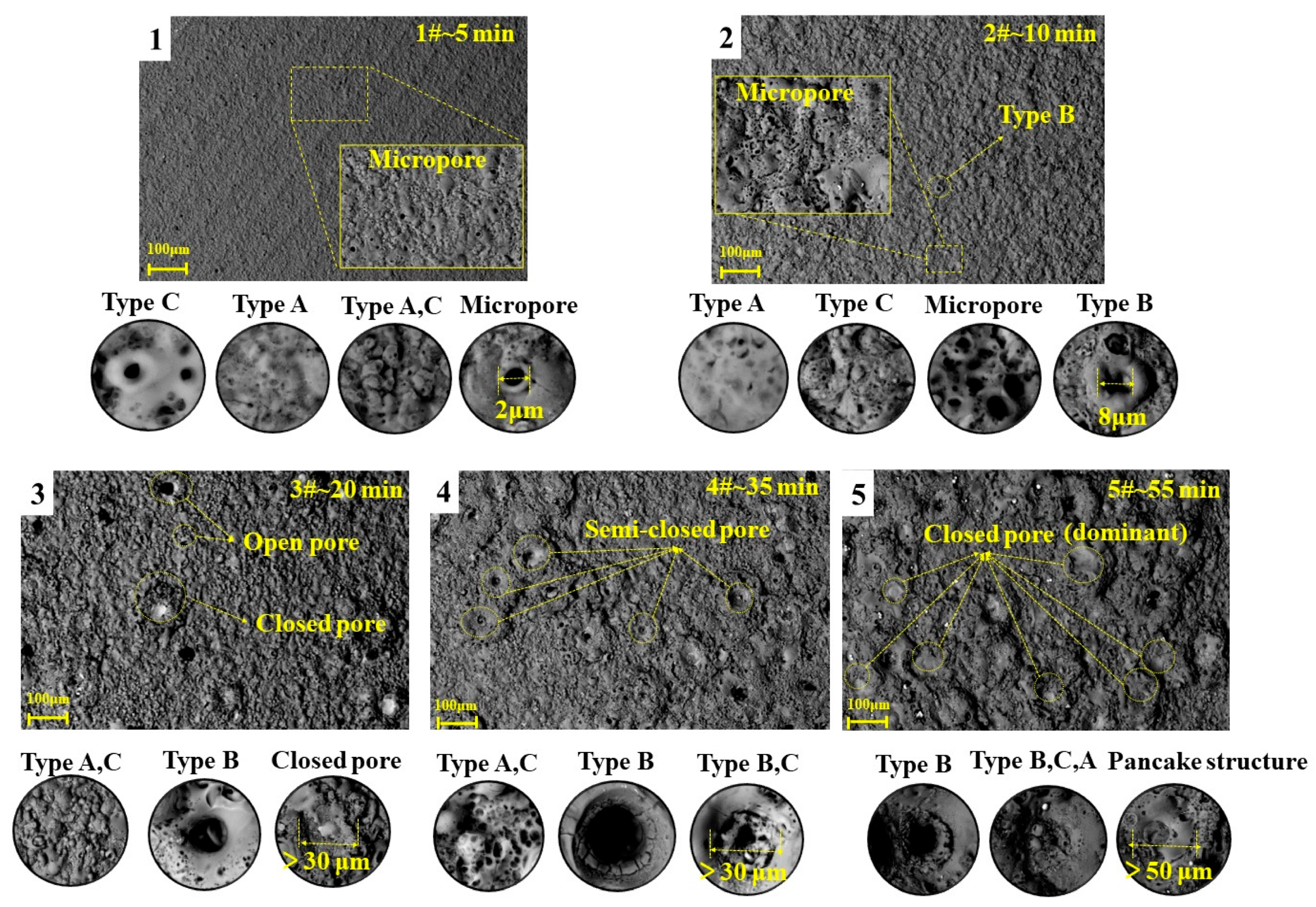 Coatings 13 01507 g004
