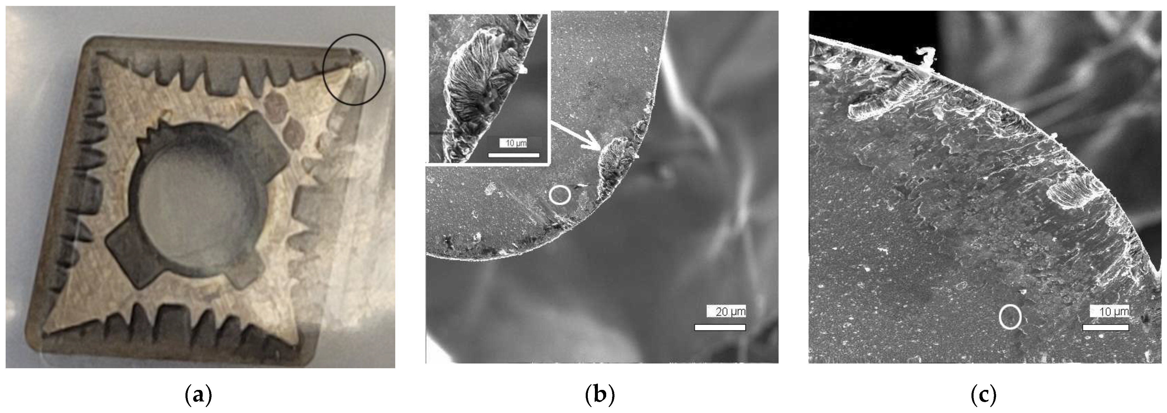 Coatings 13 01508 g003