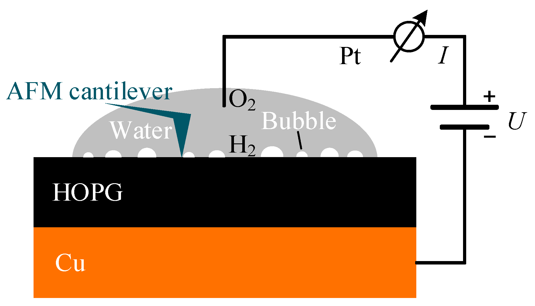 Coatings 13 01510 g012
