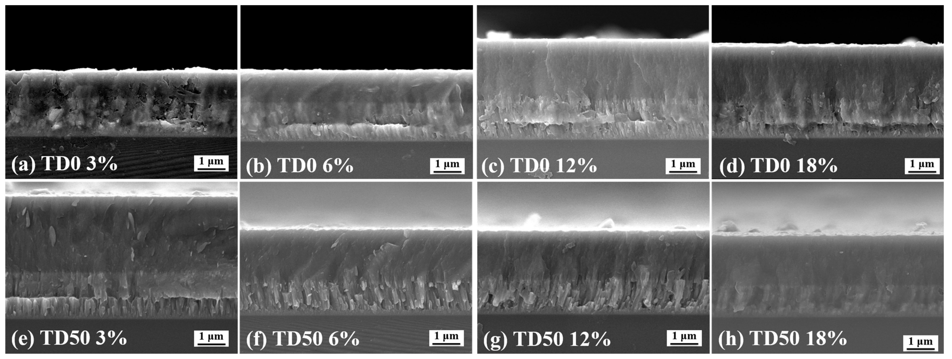 Coatings 13 01512 g004