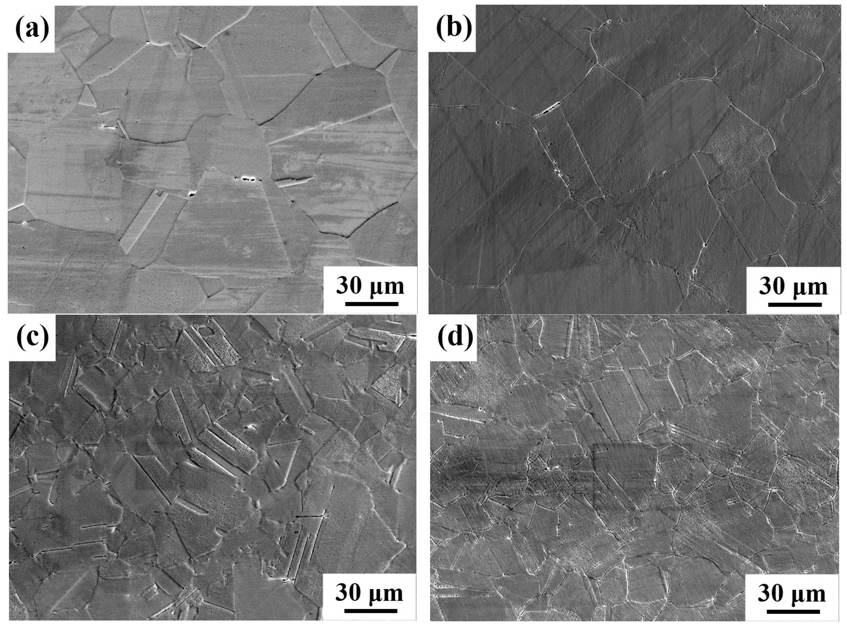 Coatings 13 01513 g004