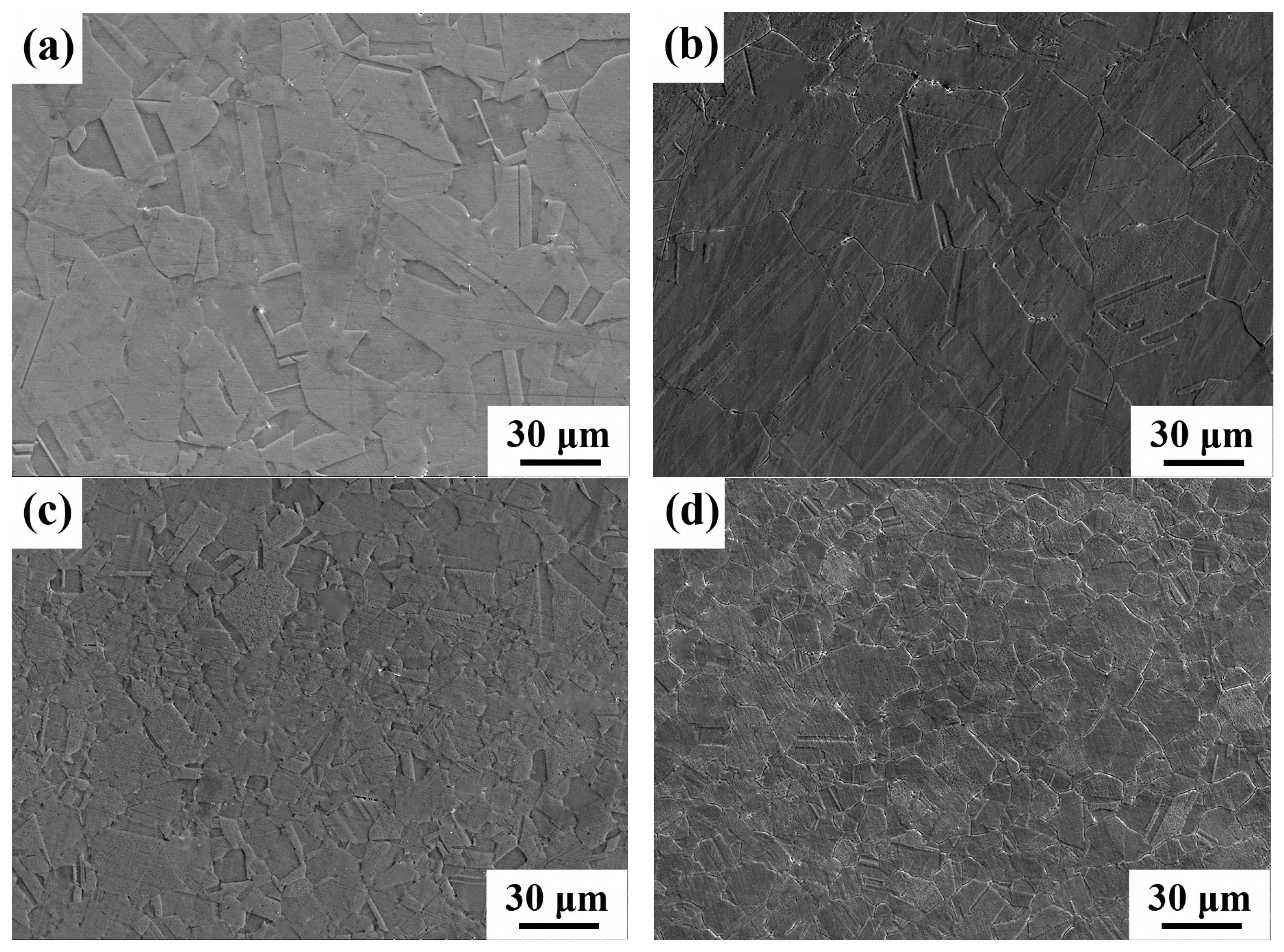 Coatings 13 01513 g005