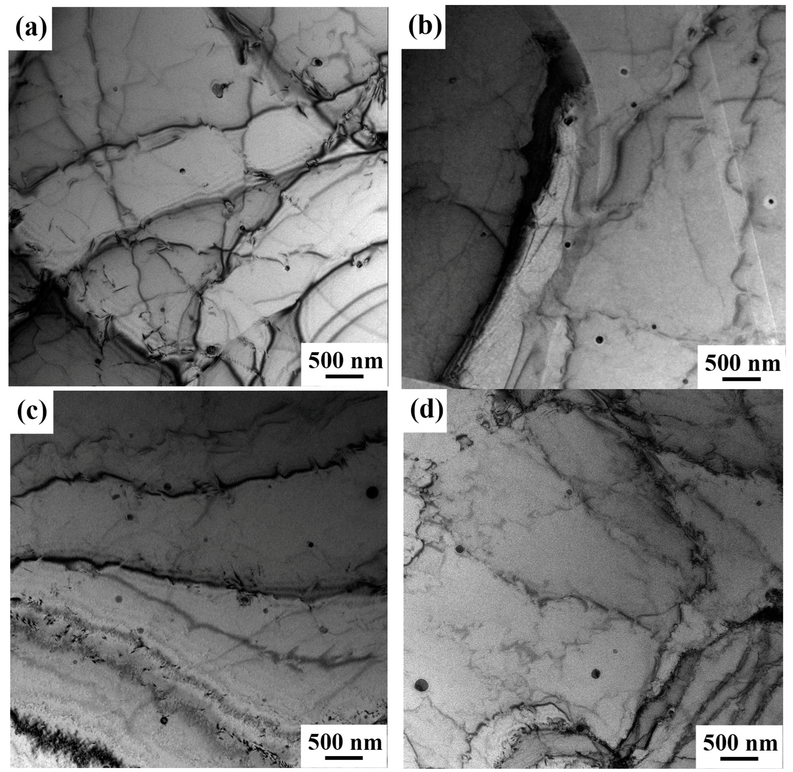 Coatings 13 01513 g008