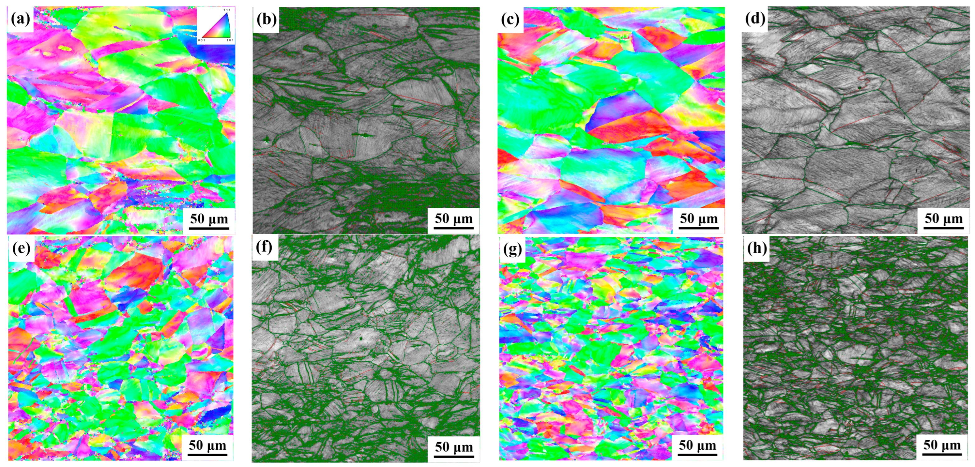 Coatings 13 01513 g011