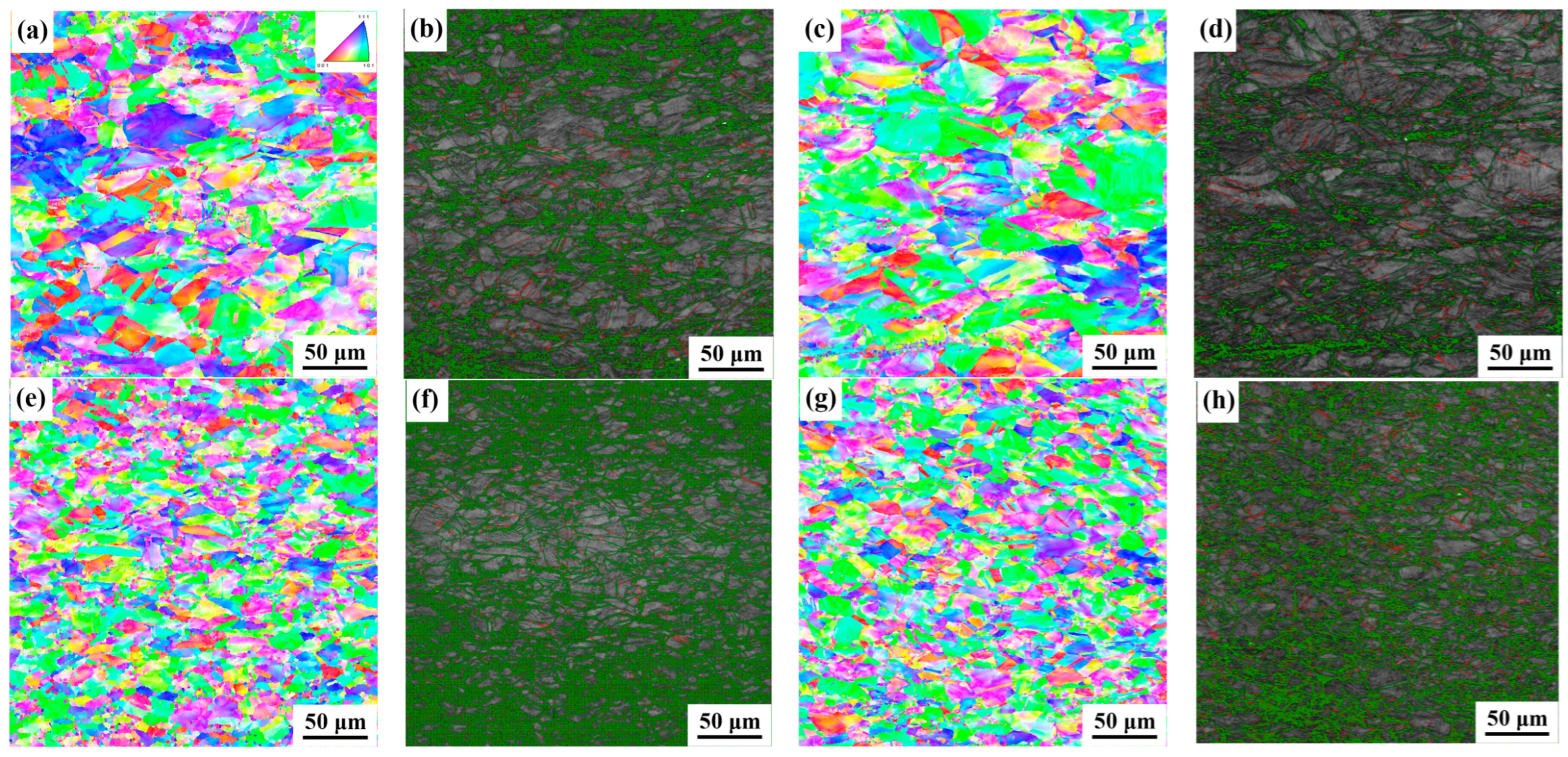 Coatings 13 01513 g012